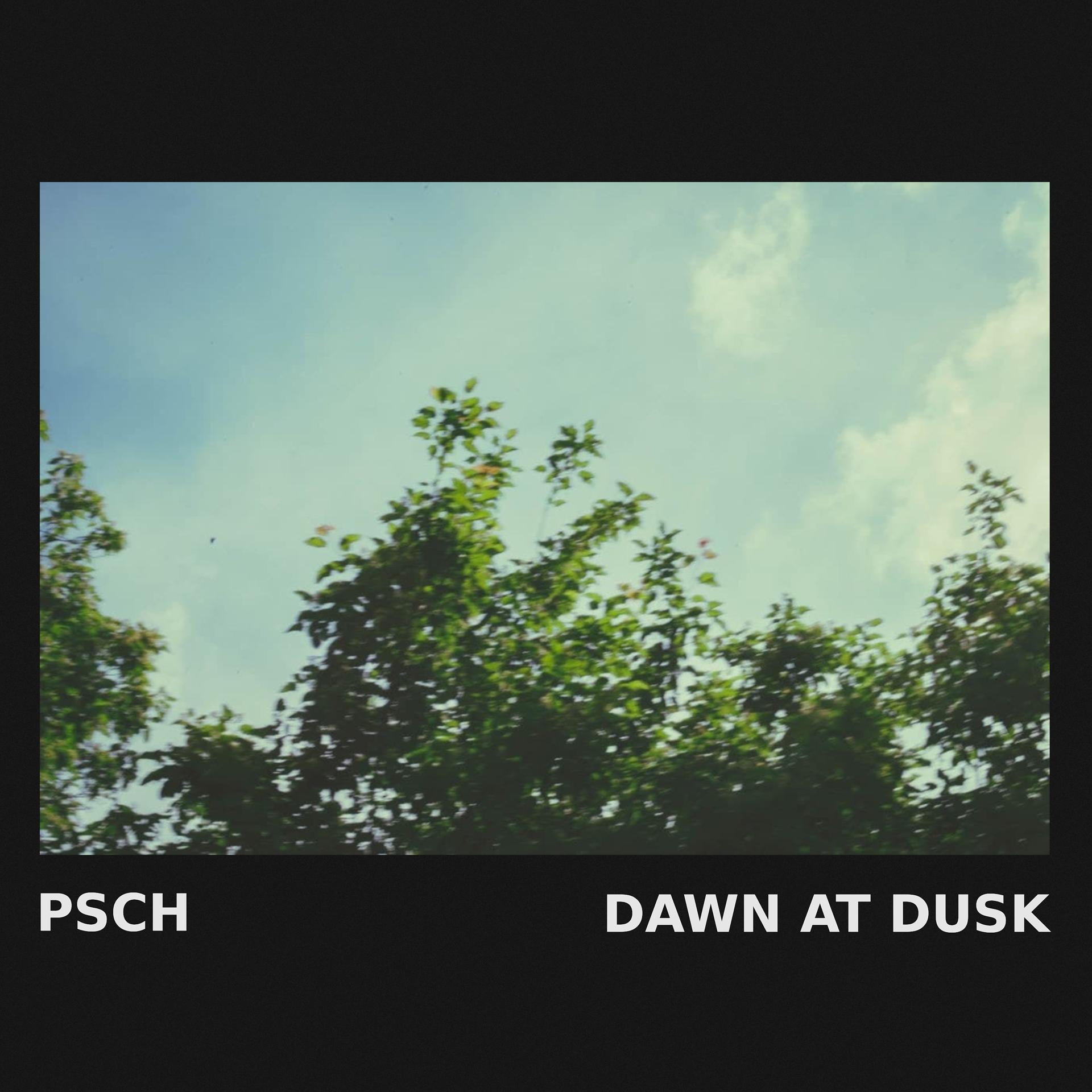 Постер альбома Dawn at Dusk