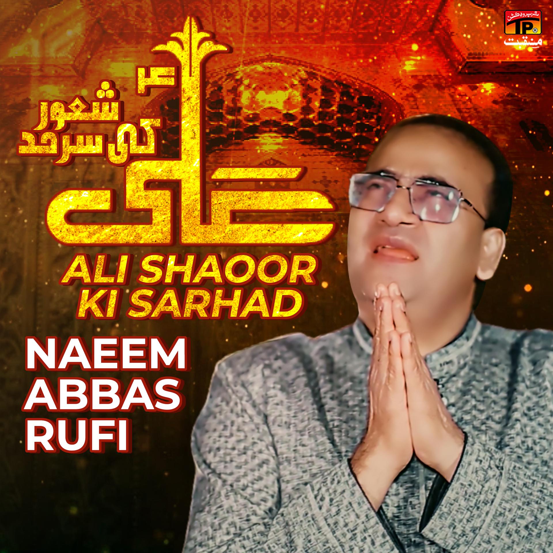 Постер альбома Ali Shaoor Ki Sarhad - Single