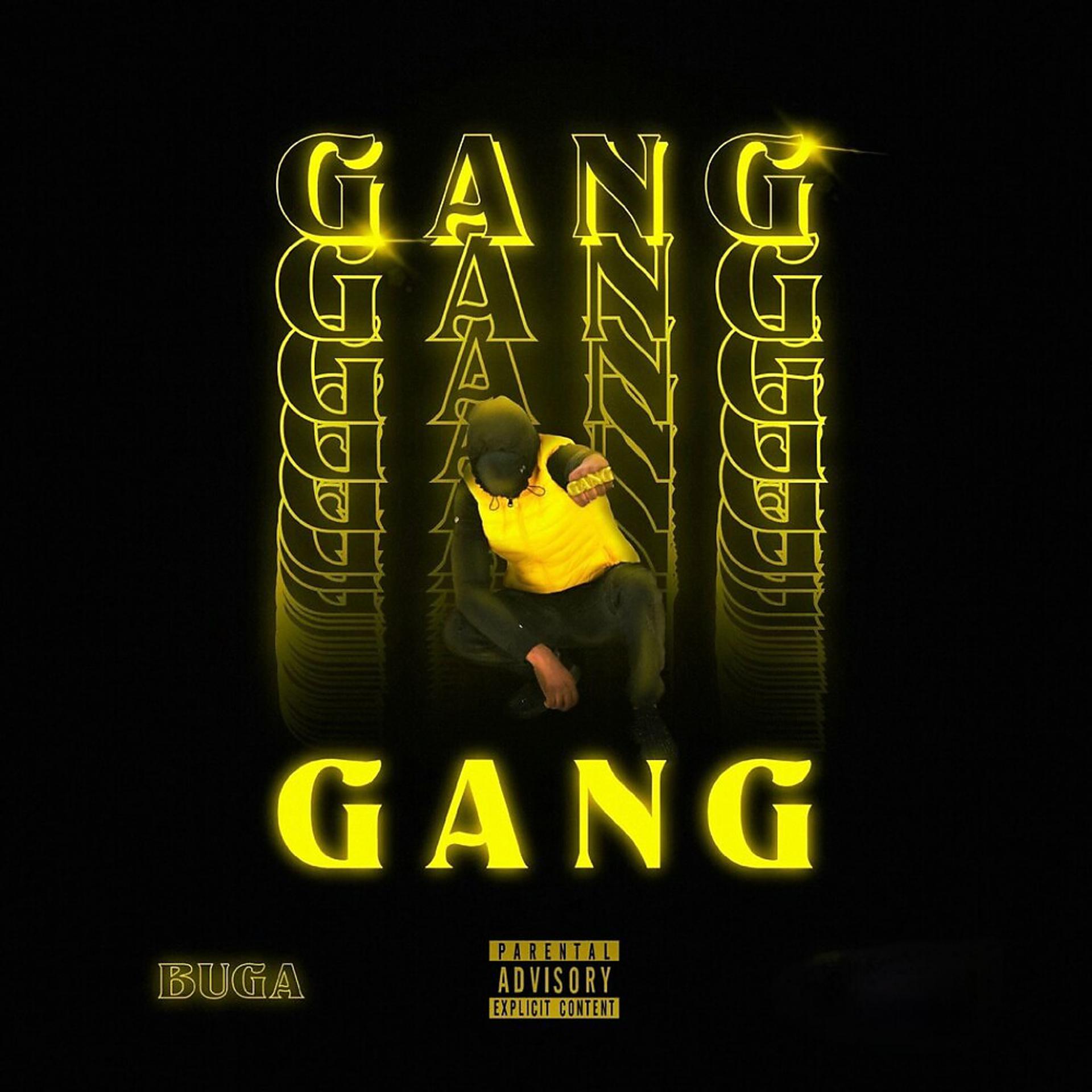 Постер альбома GANG