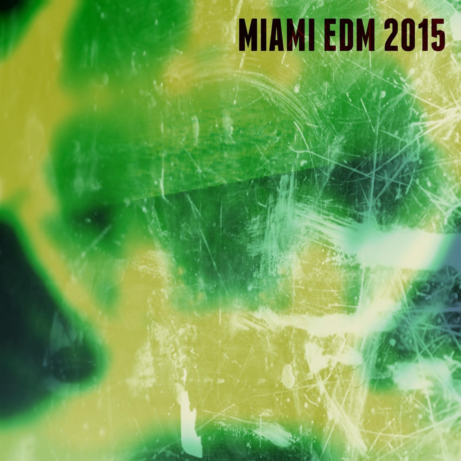 Постер альбома Miami EDM 2015