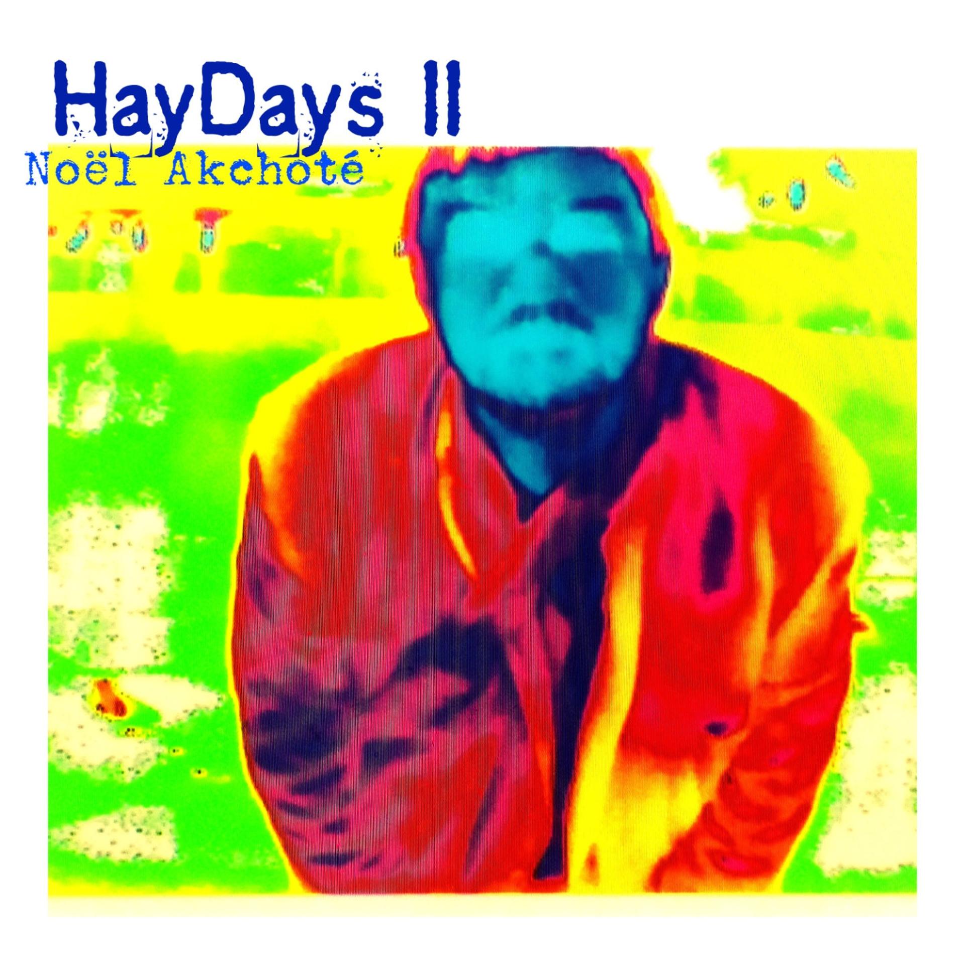 Постер альбома HayDays, Vol. 2