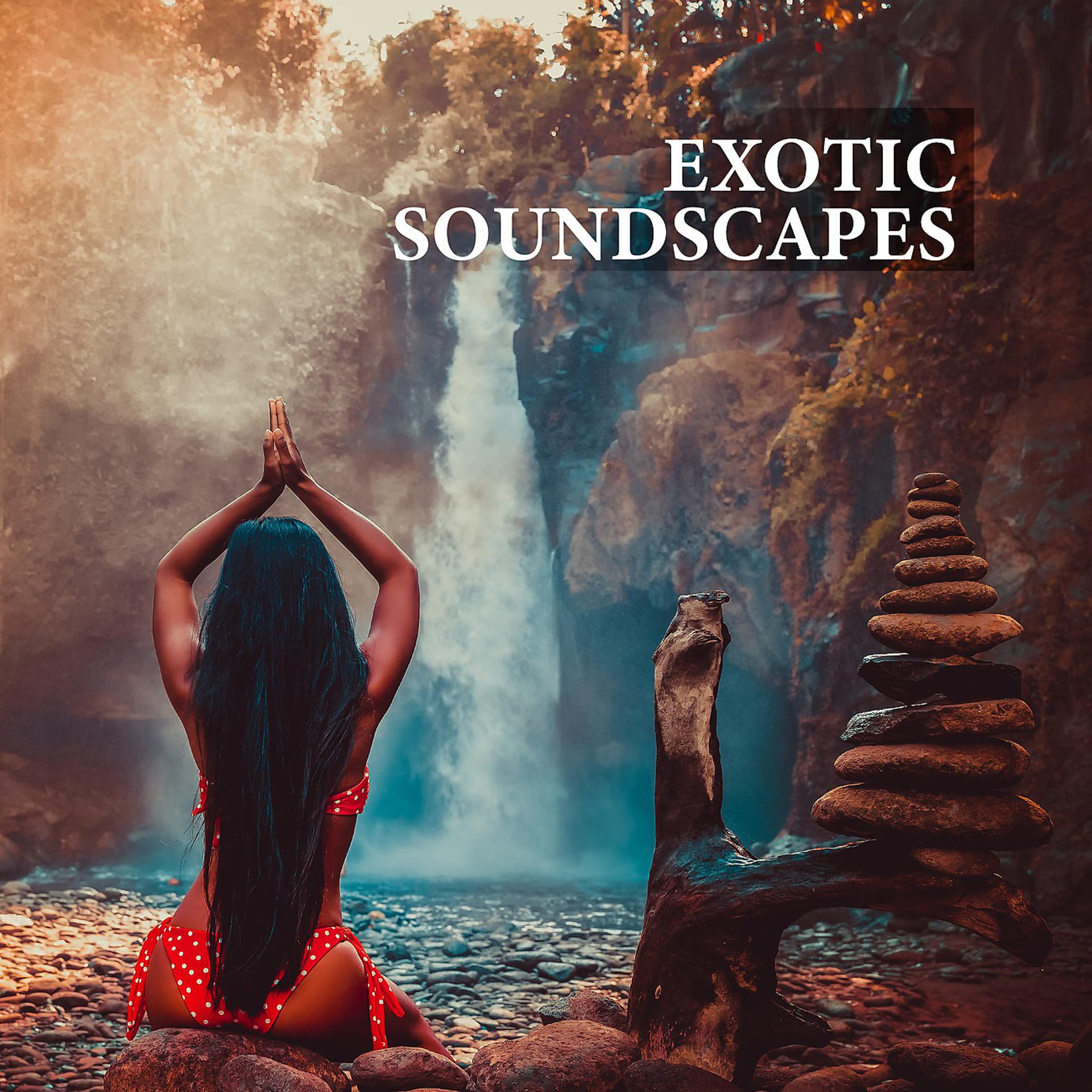 Постер альбома Exotic Soundscapes