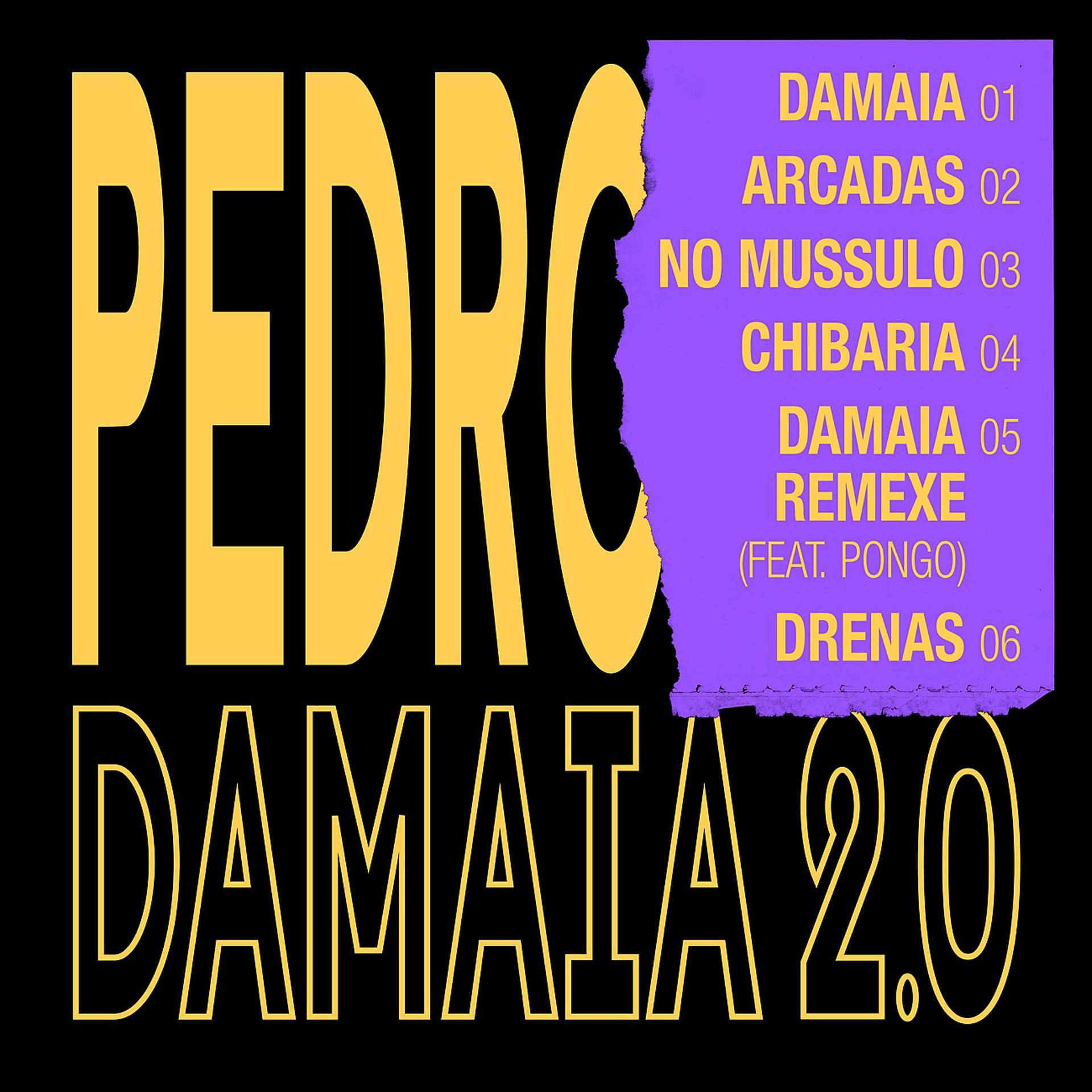 Постер альбома Damaia 2.0
