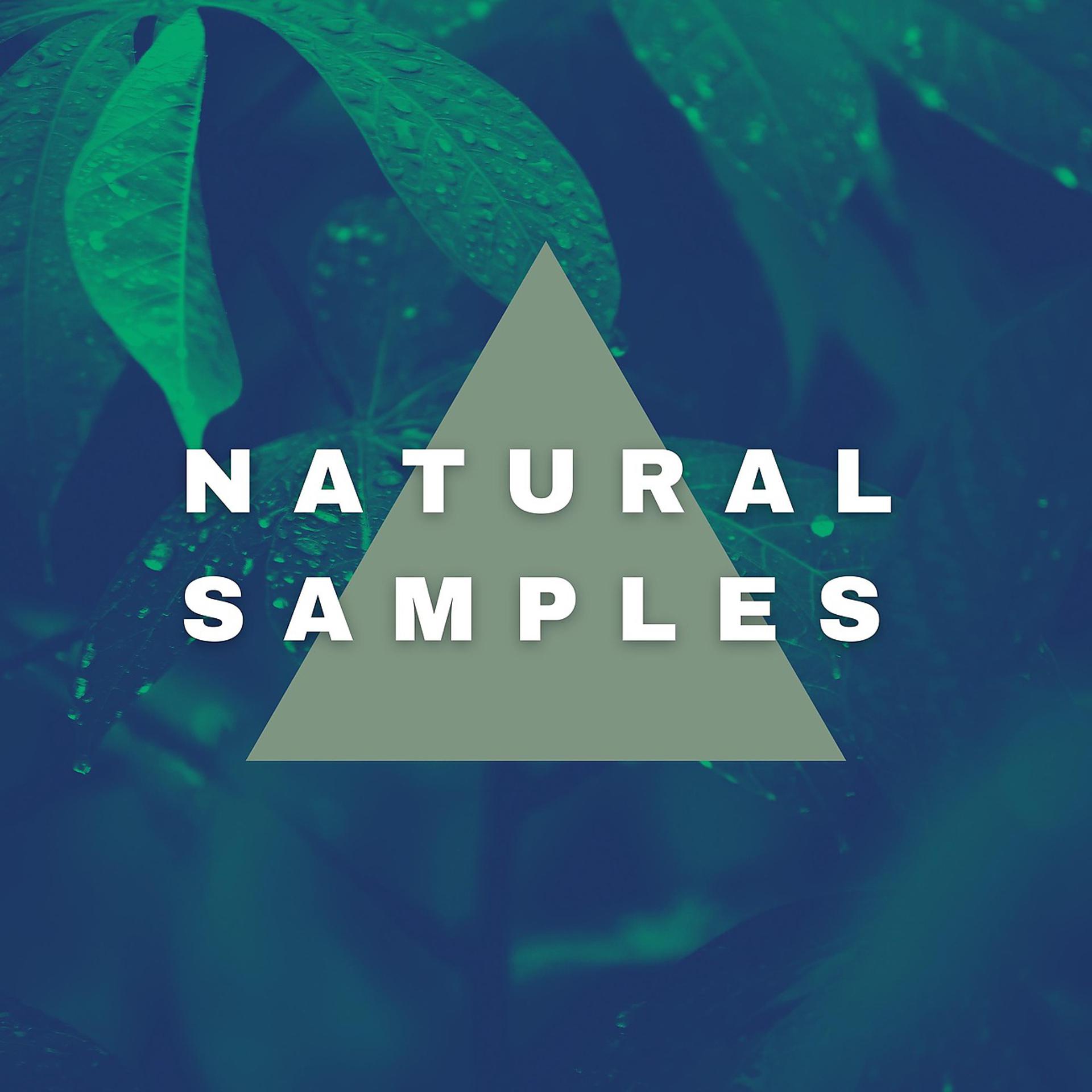 Постер альбома Natural Samples