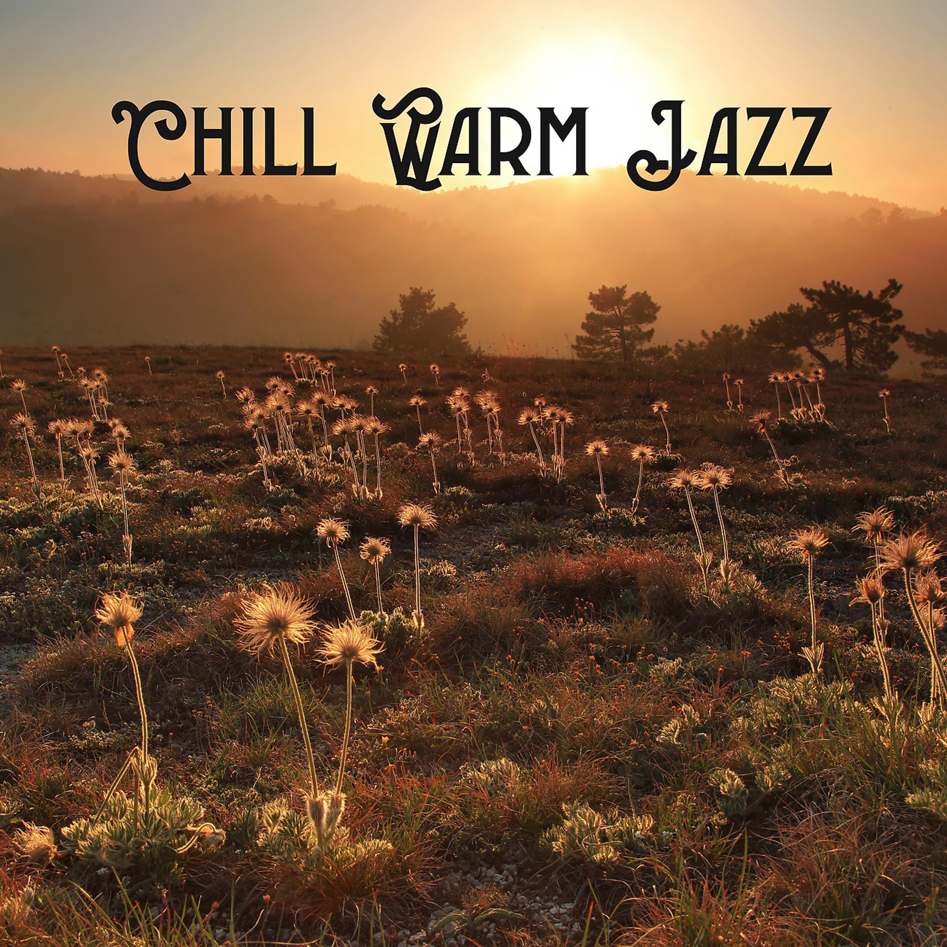 Постер альбома Chill Warm Jazz