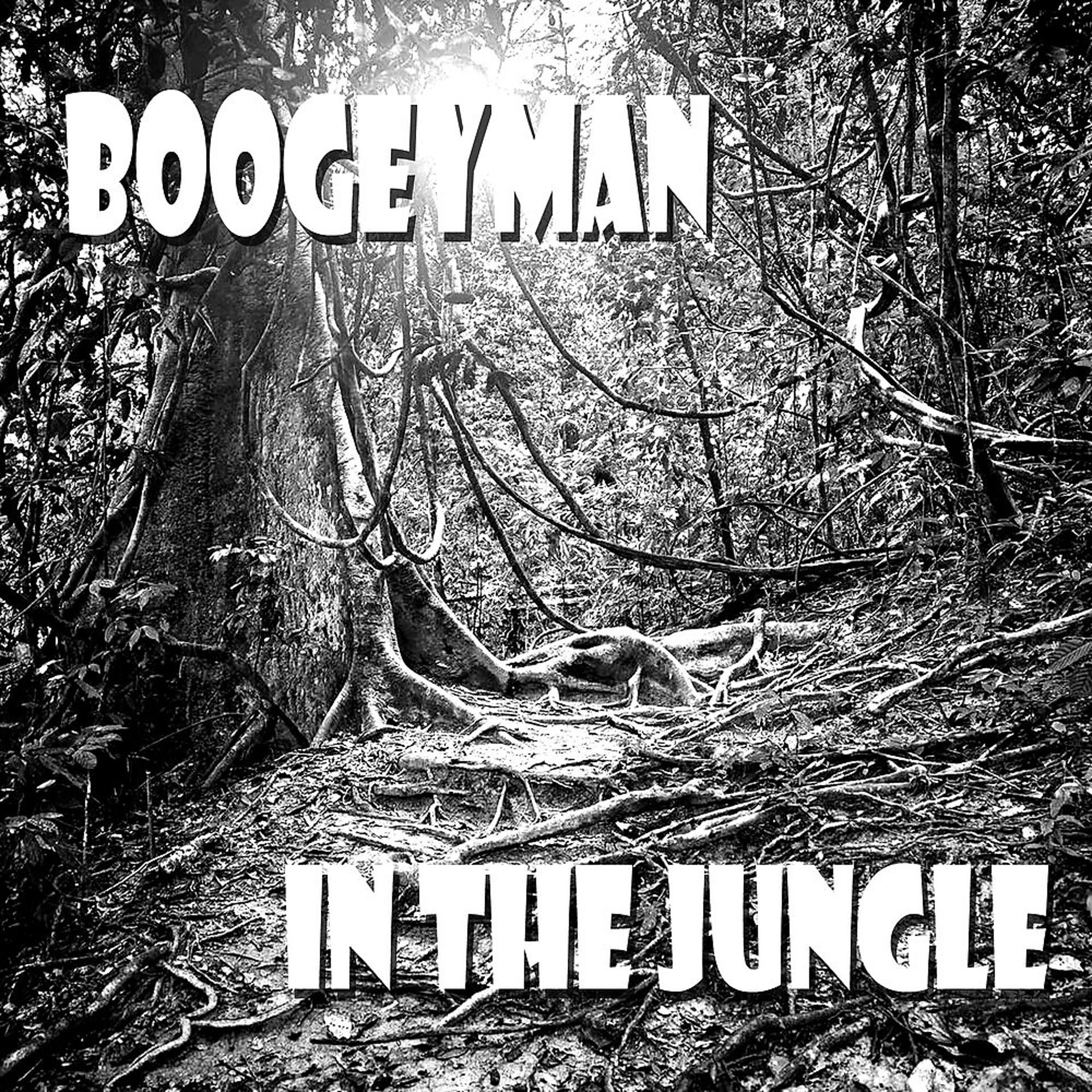 Постер альбома In the Jungle