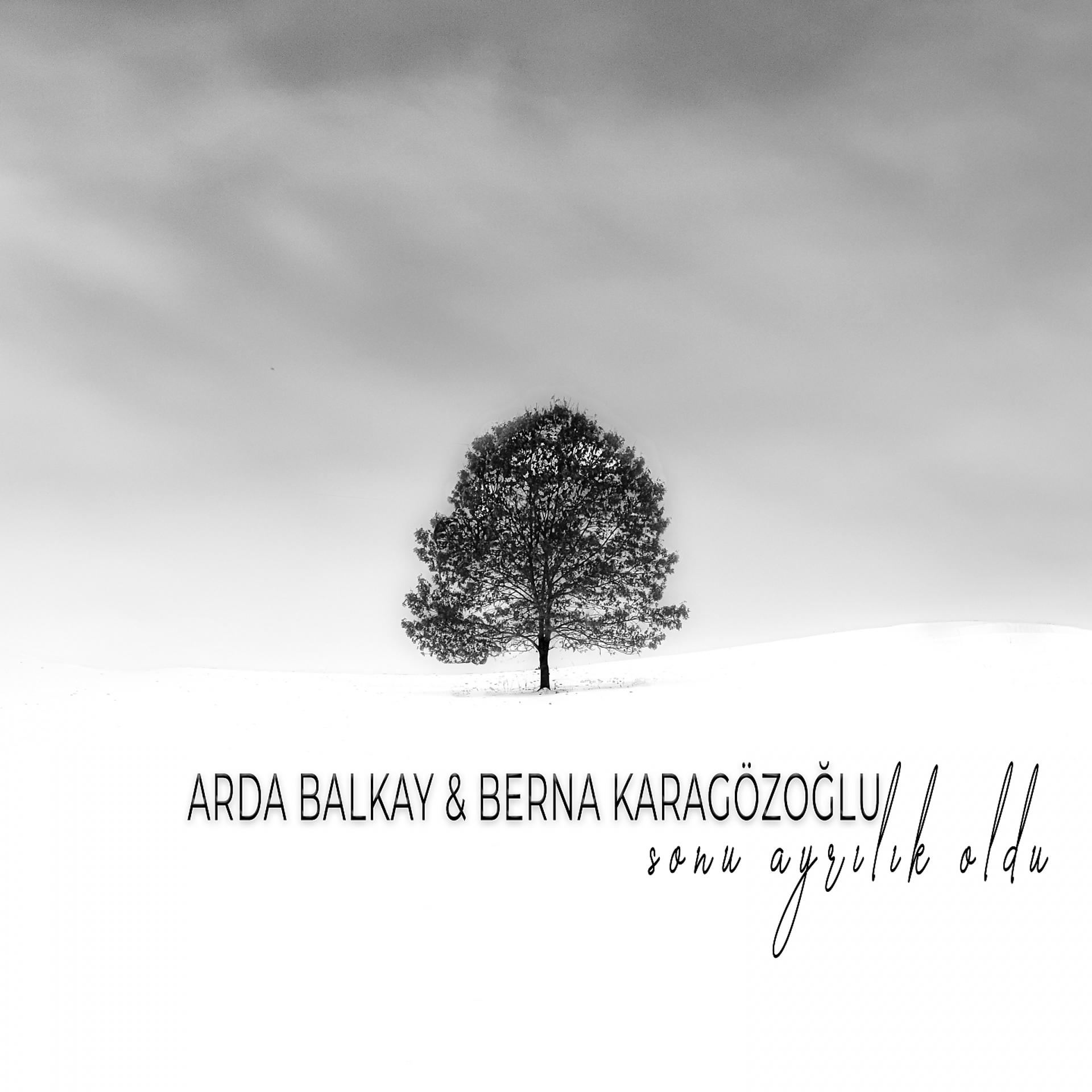 Постер альбома Sonu Ayrılık Oldu
