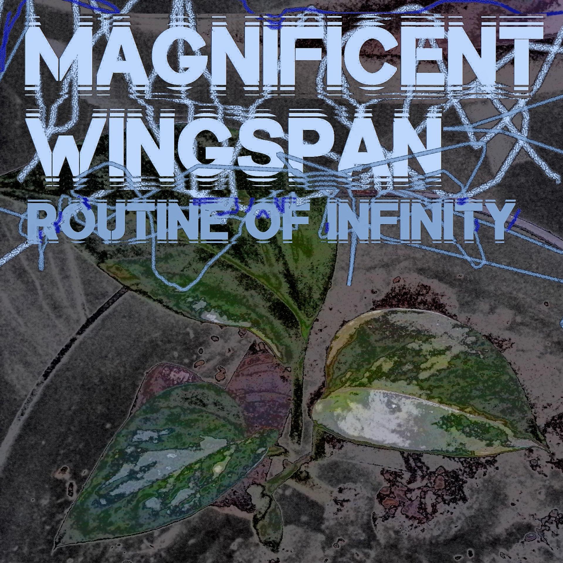 Постер альбома Routine of Infinity