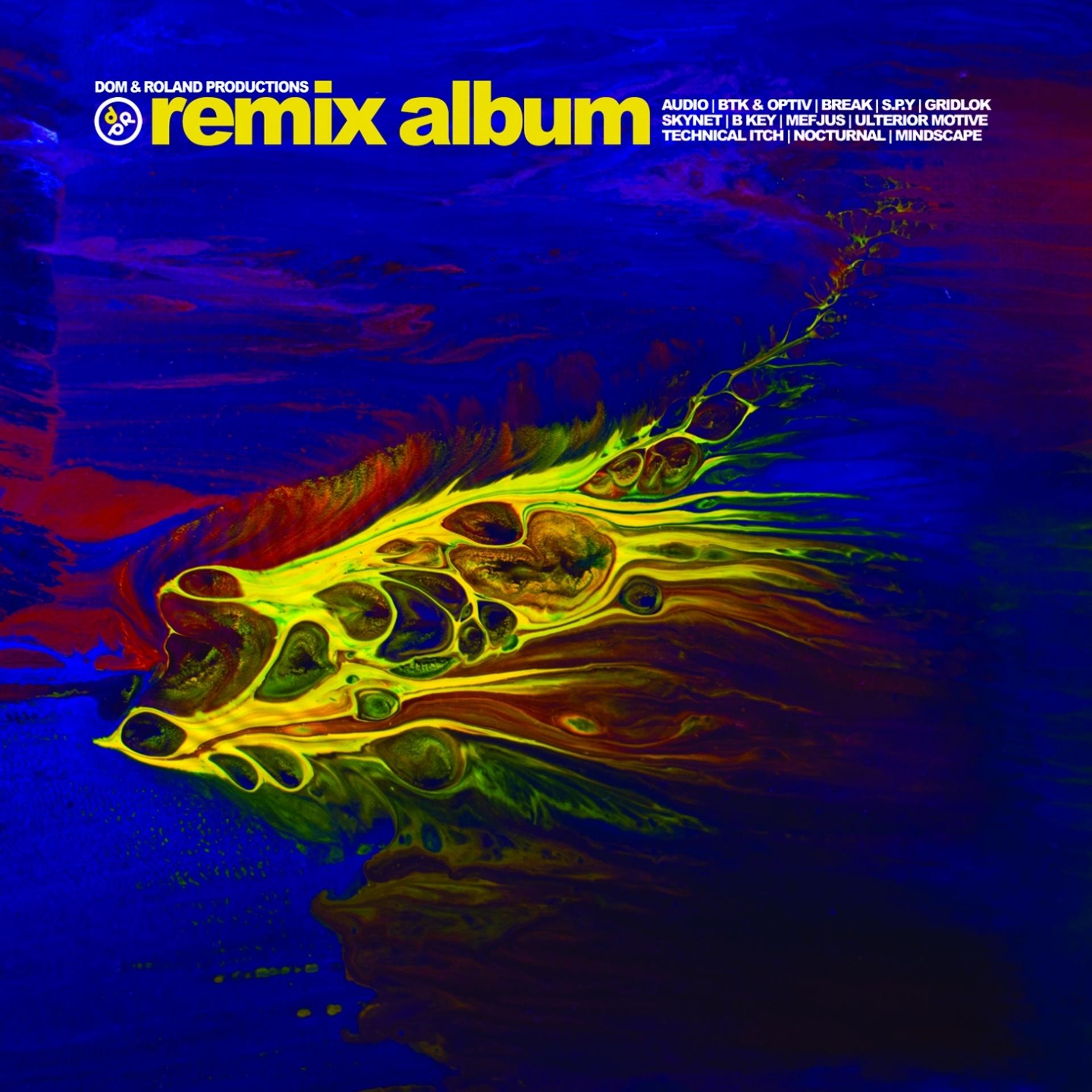 Постер альбома Dom & Roland Productions: Remix Album