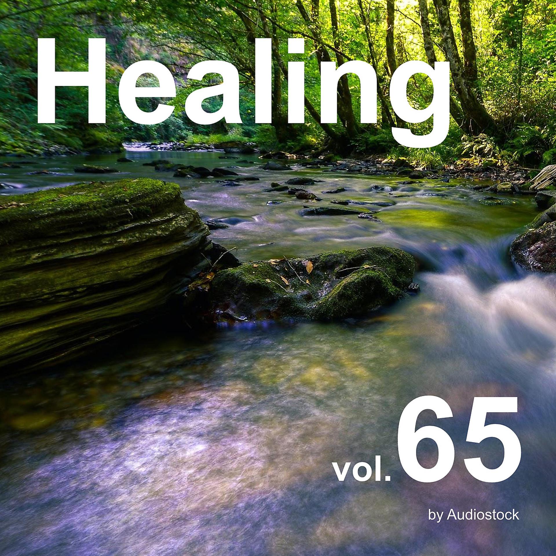 Постер альбома ヒーリング, Vol. 65 -Instrumental BGM- by Audiostock