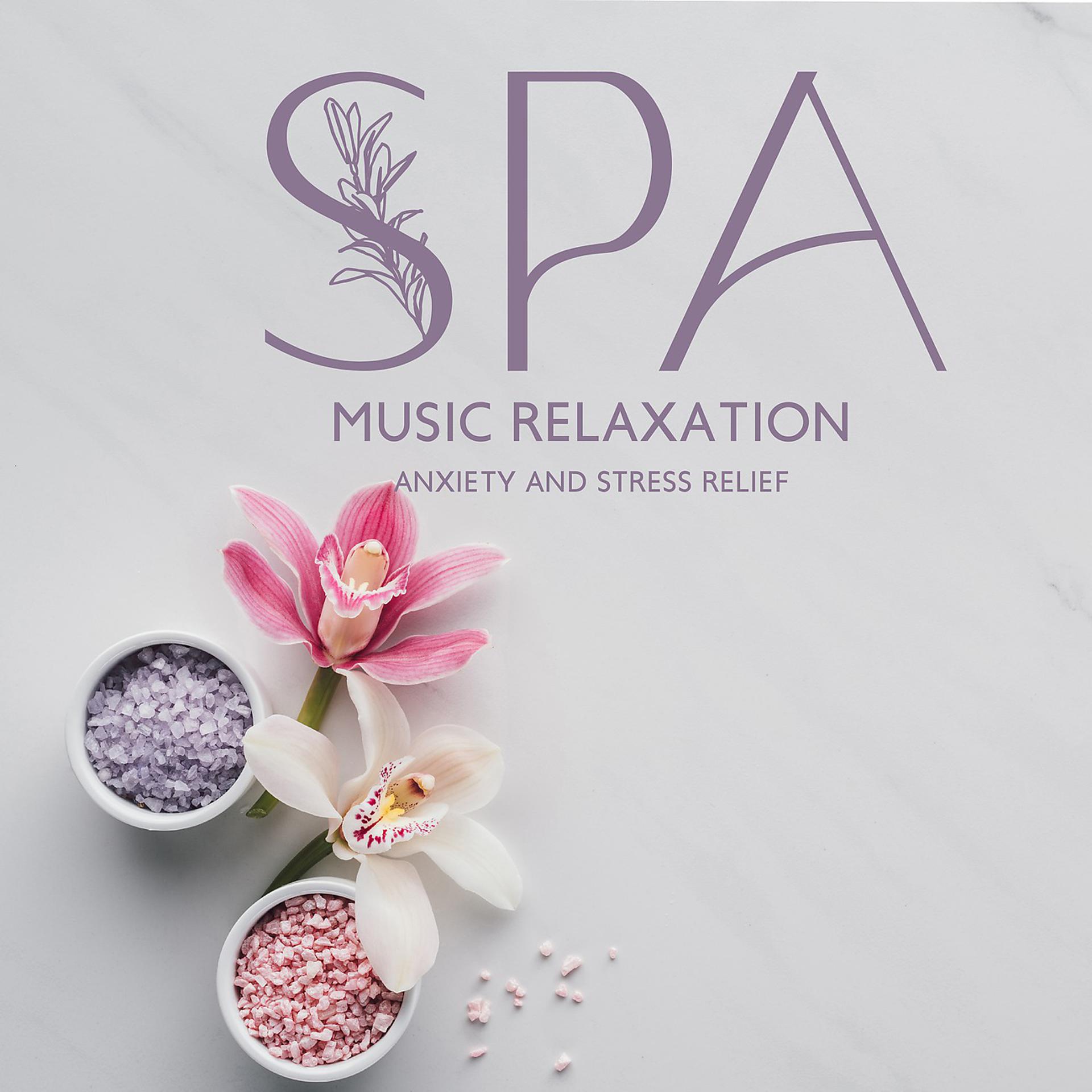 Постер альбома Spa Music Relaxation