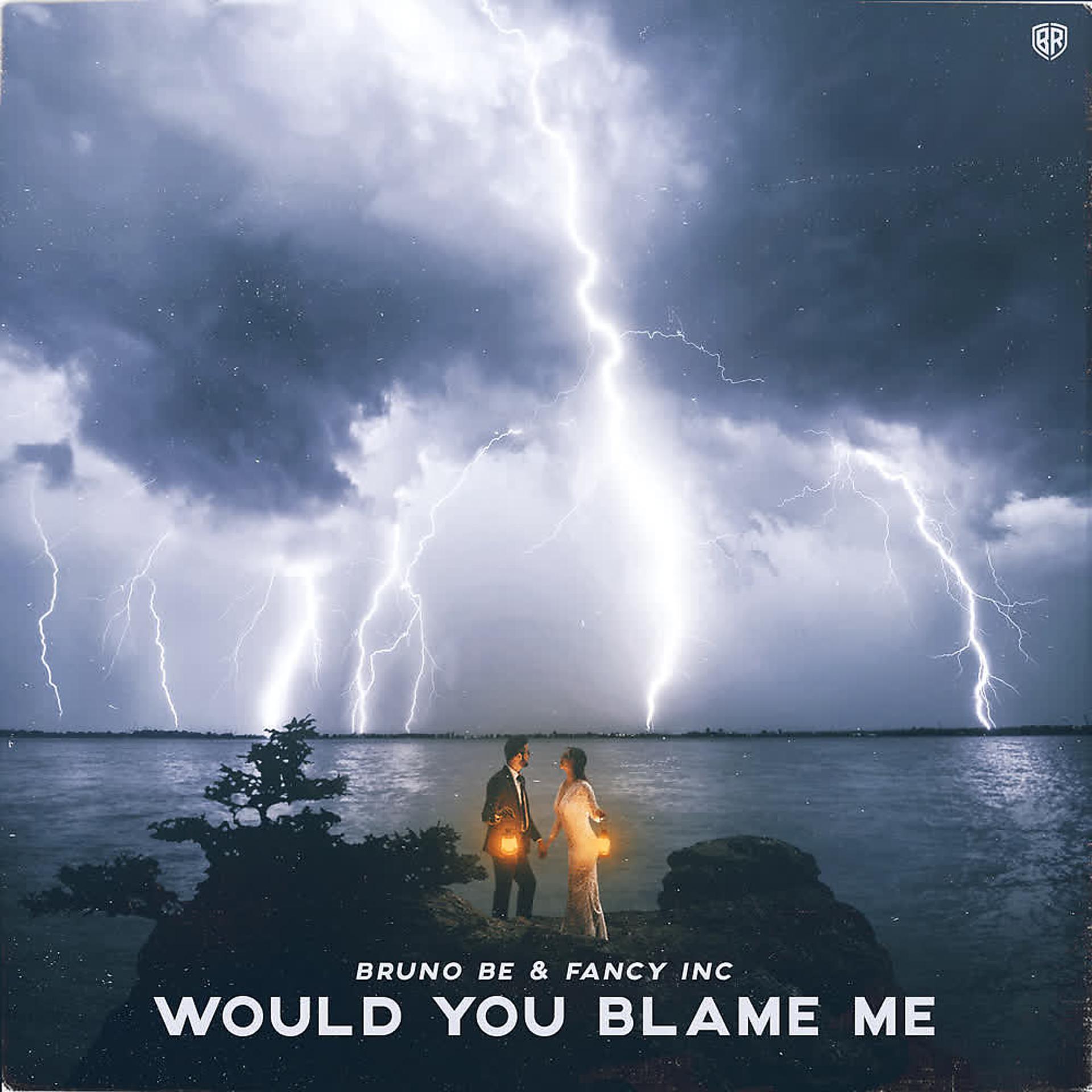 Постер альбома Would You Blame Me