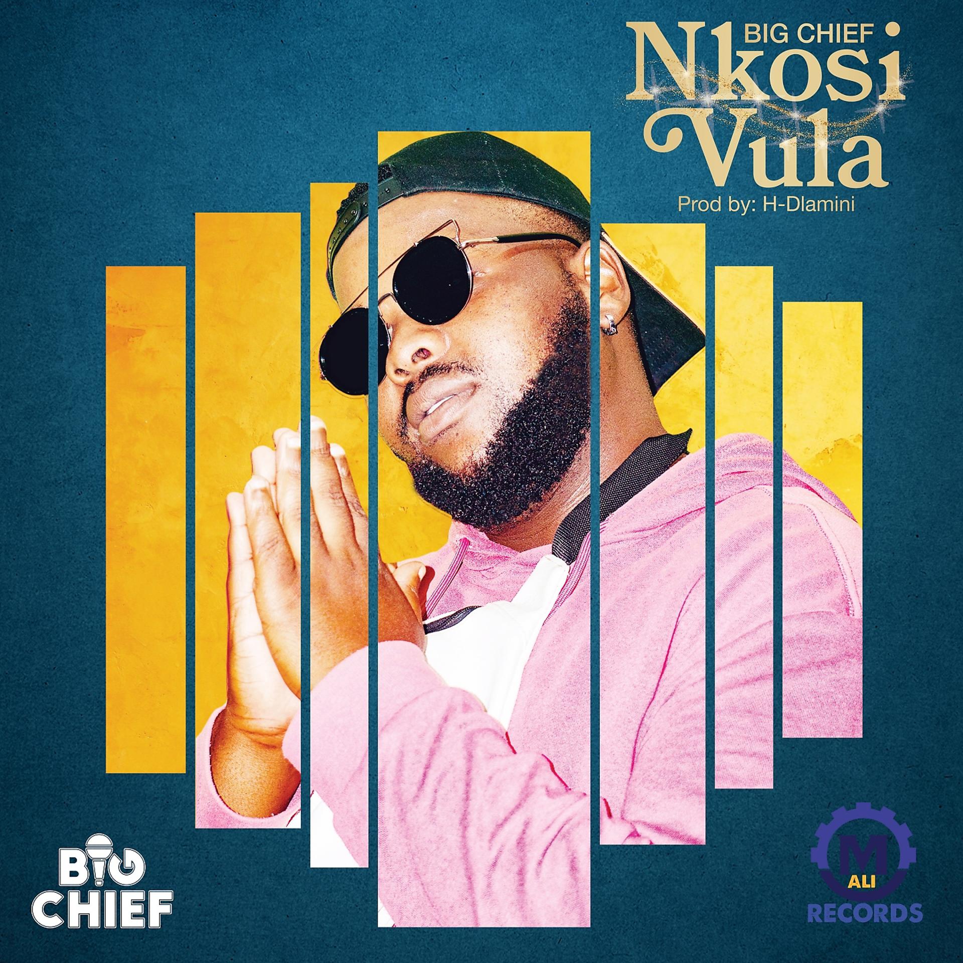 Постер альбома Nkosi Vula