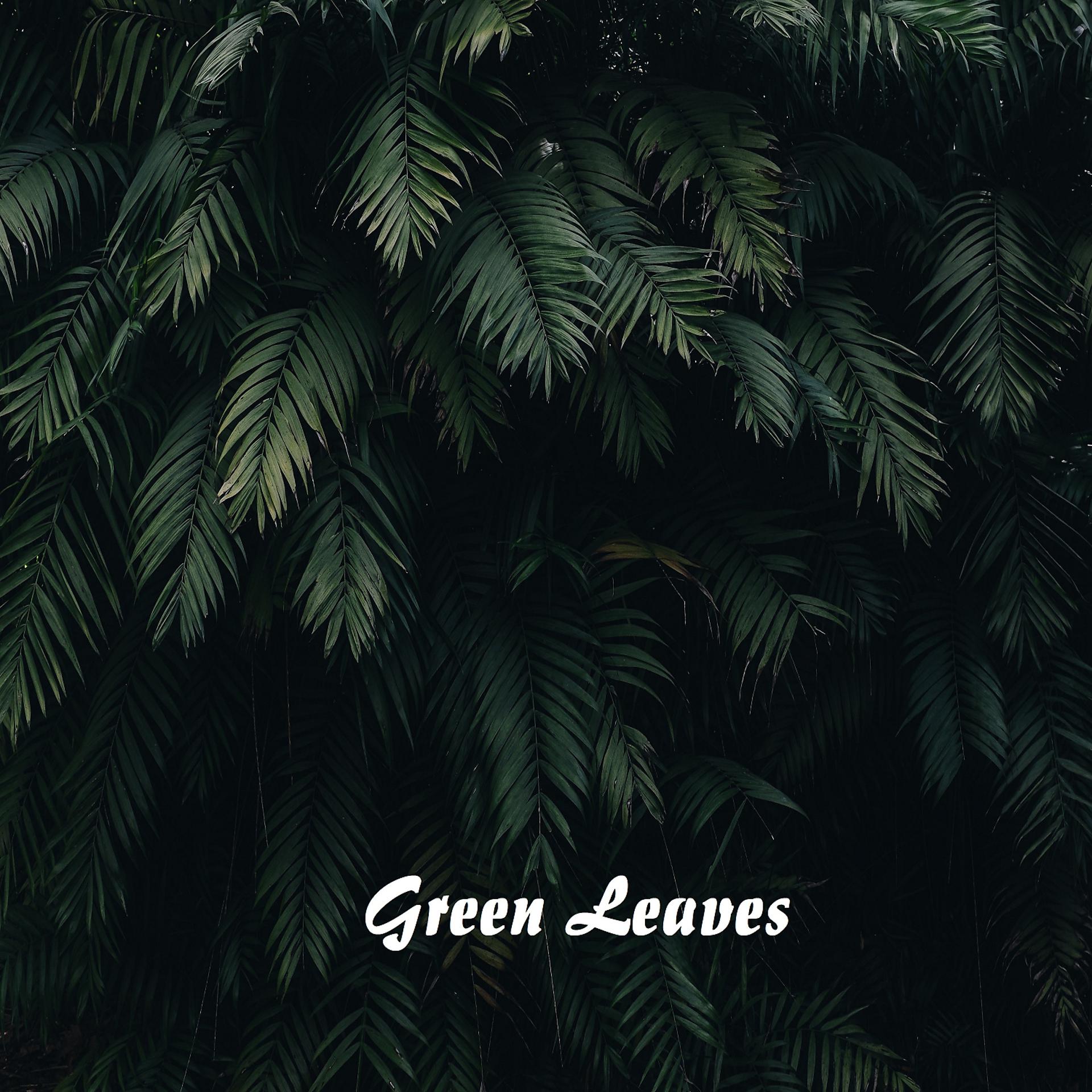 Постер альбома Green Leaves