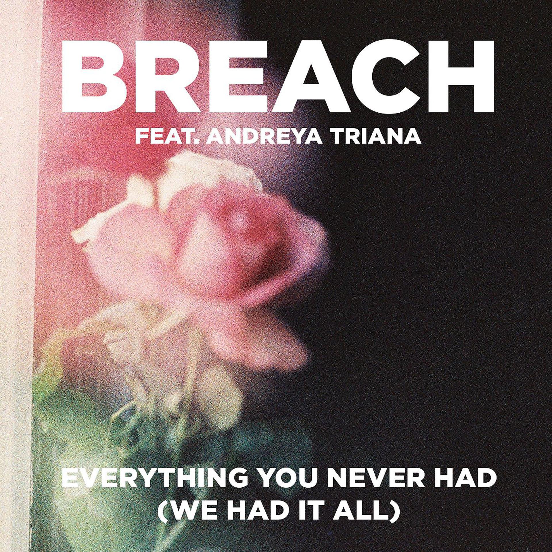 Постер альбома Everything You Never Had (We Had It All) (feat. Andreya Triana)