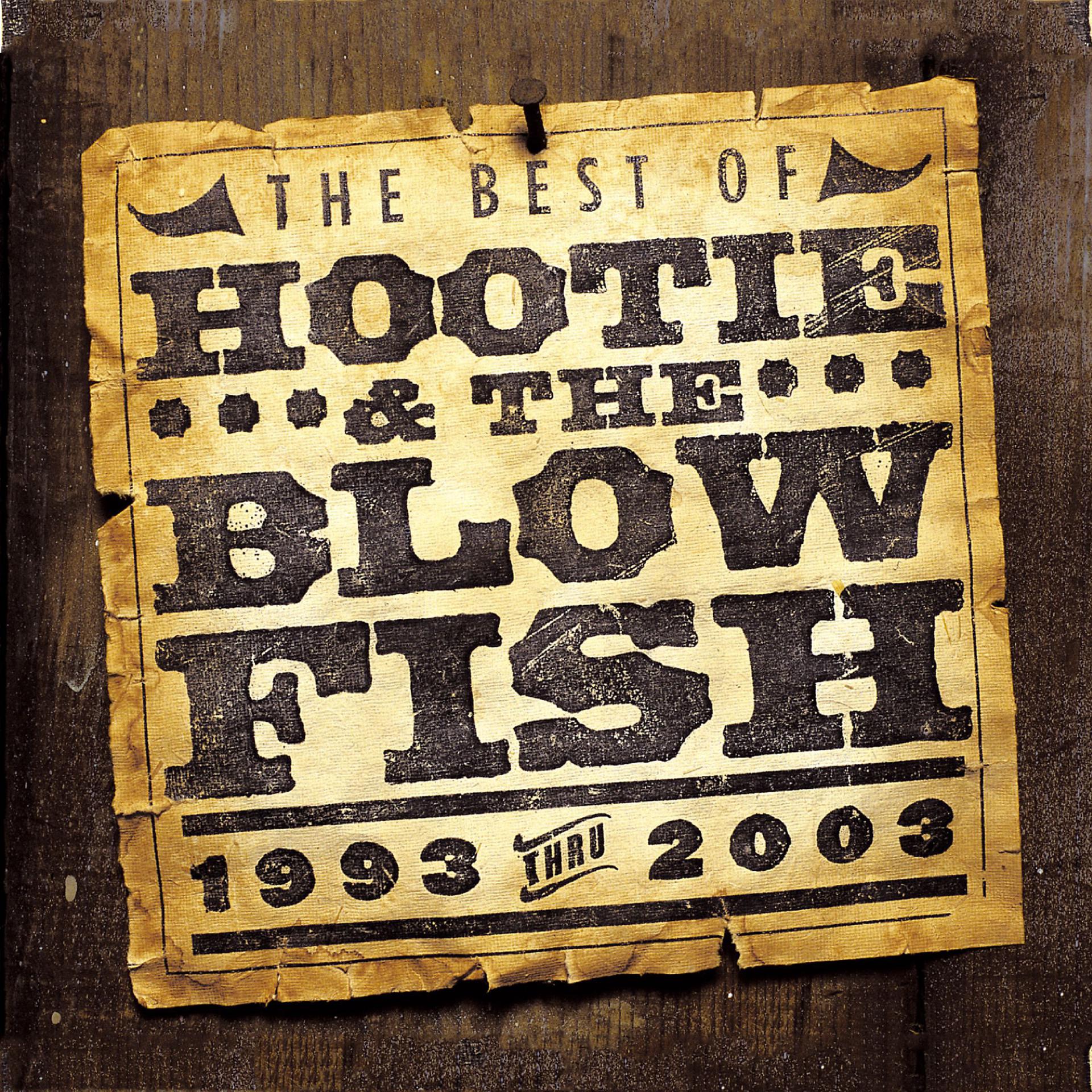 Постер альбома The Best of Hootie & The Blowfish (1993 - 2003)
