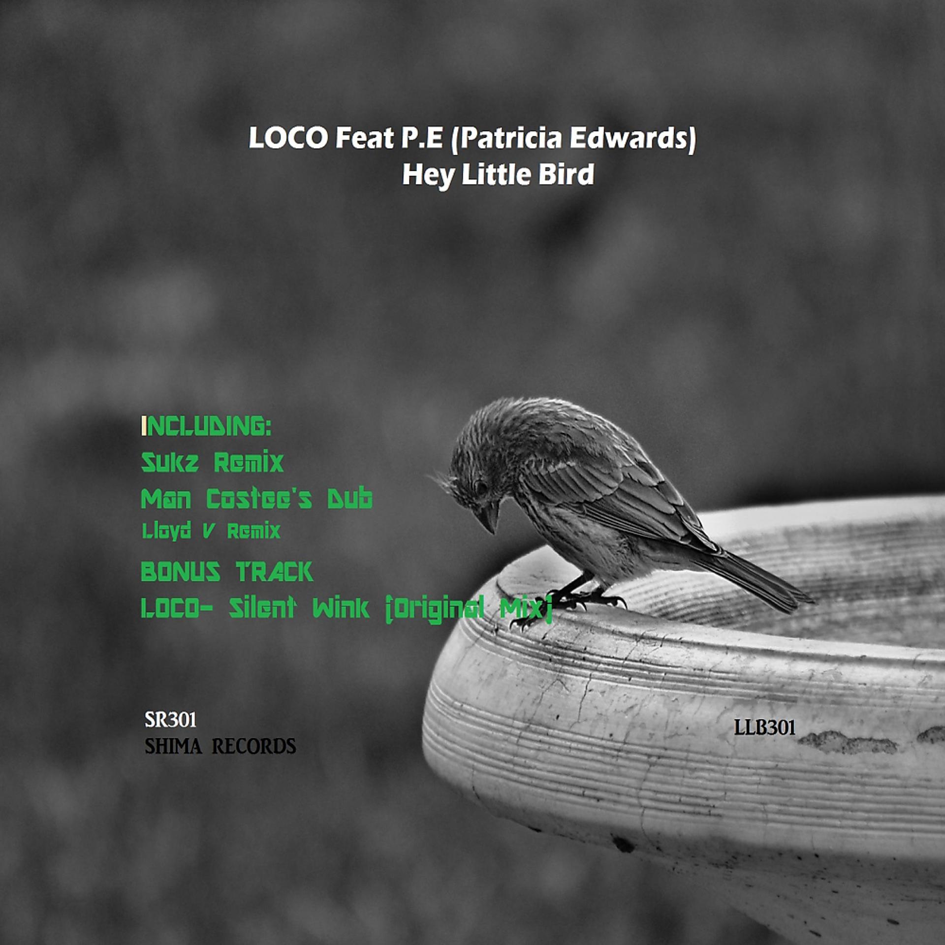 Постер альбома Hey Little Bird
