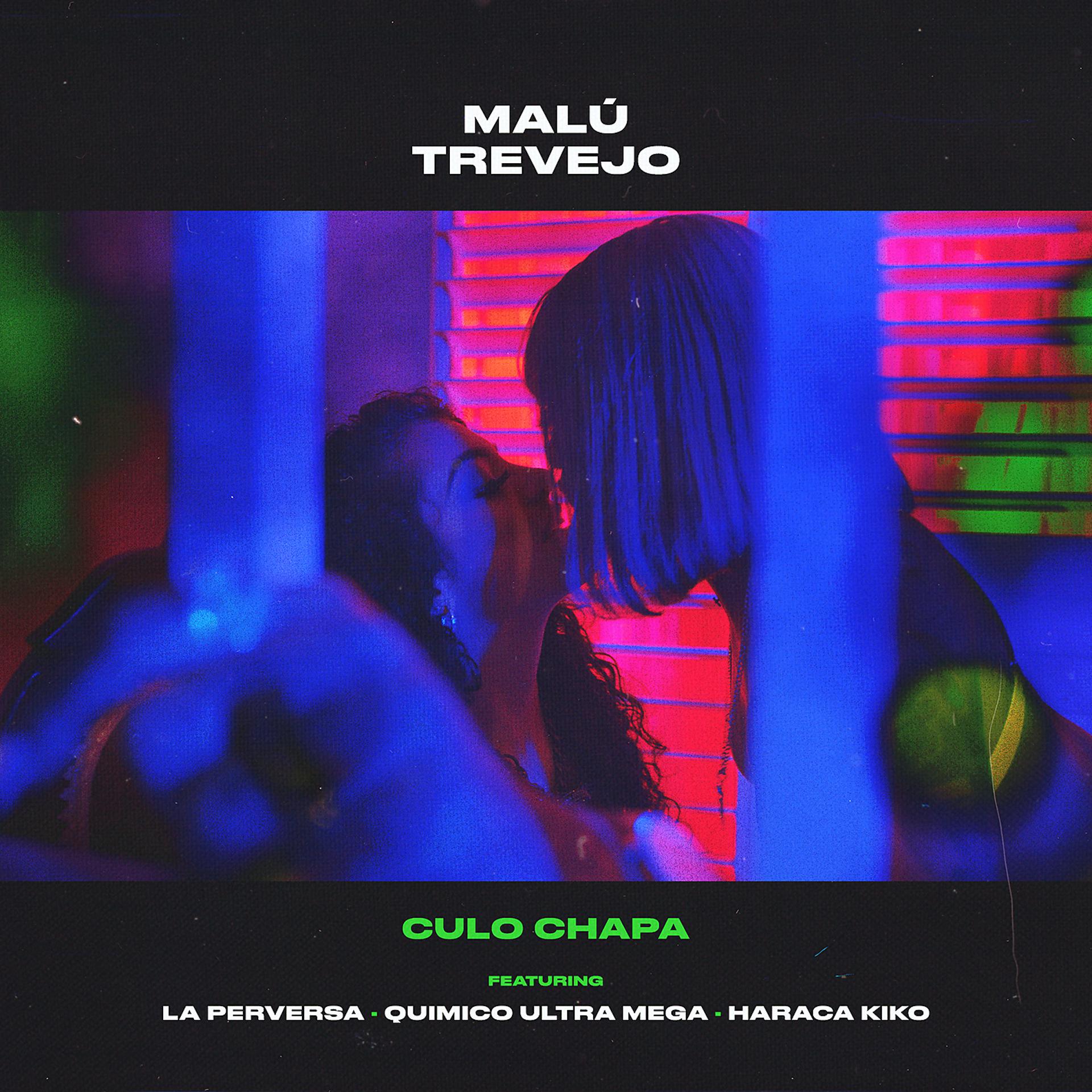 Постер альбома Culo Chapa (feat. La Perversa, Quimico Ultra Mega & Haraca Kiko)