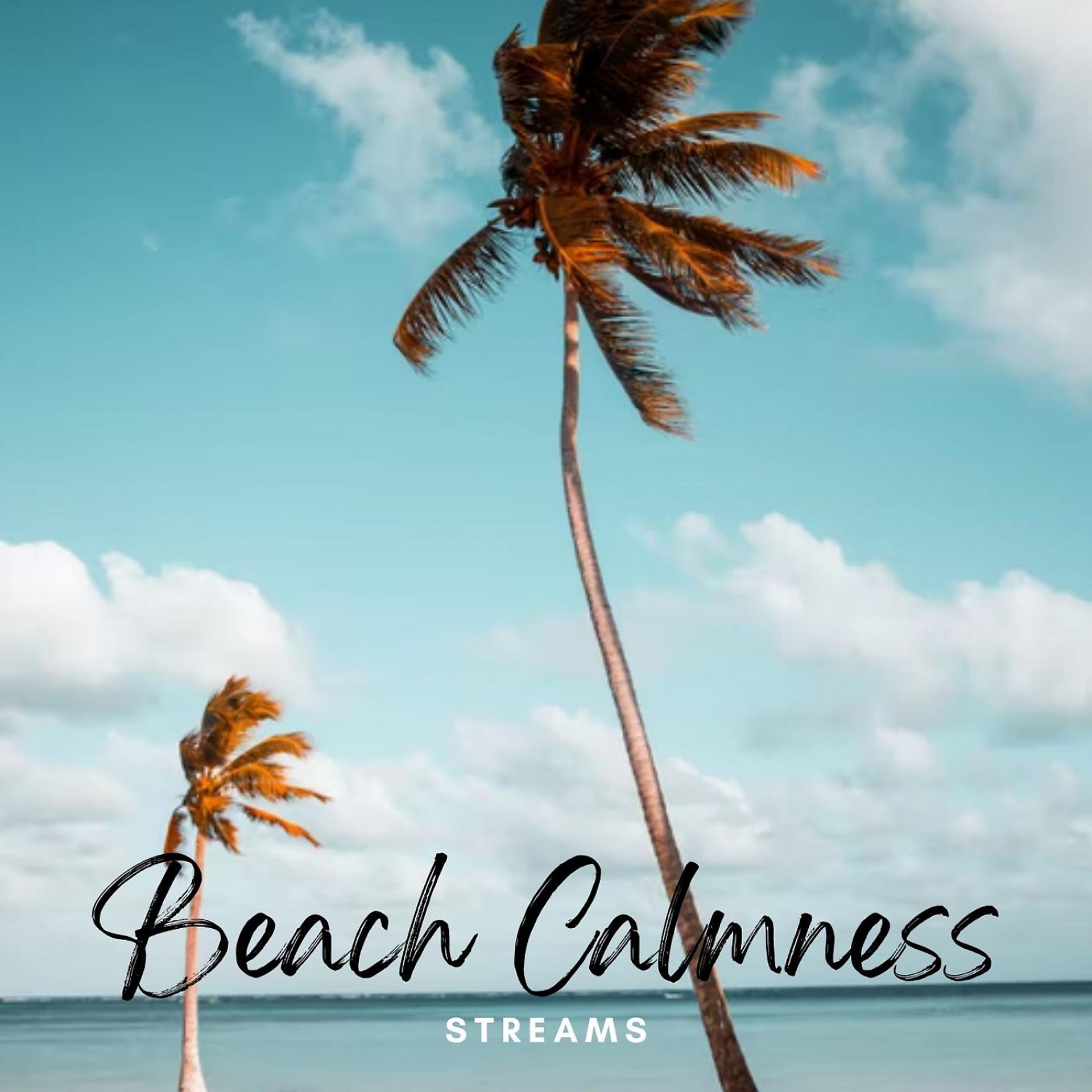 Постер альбома Streams: Beach Calmness
