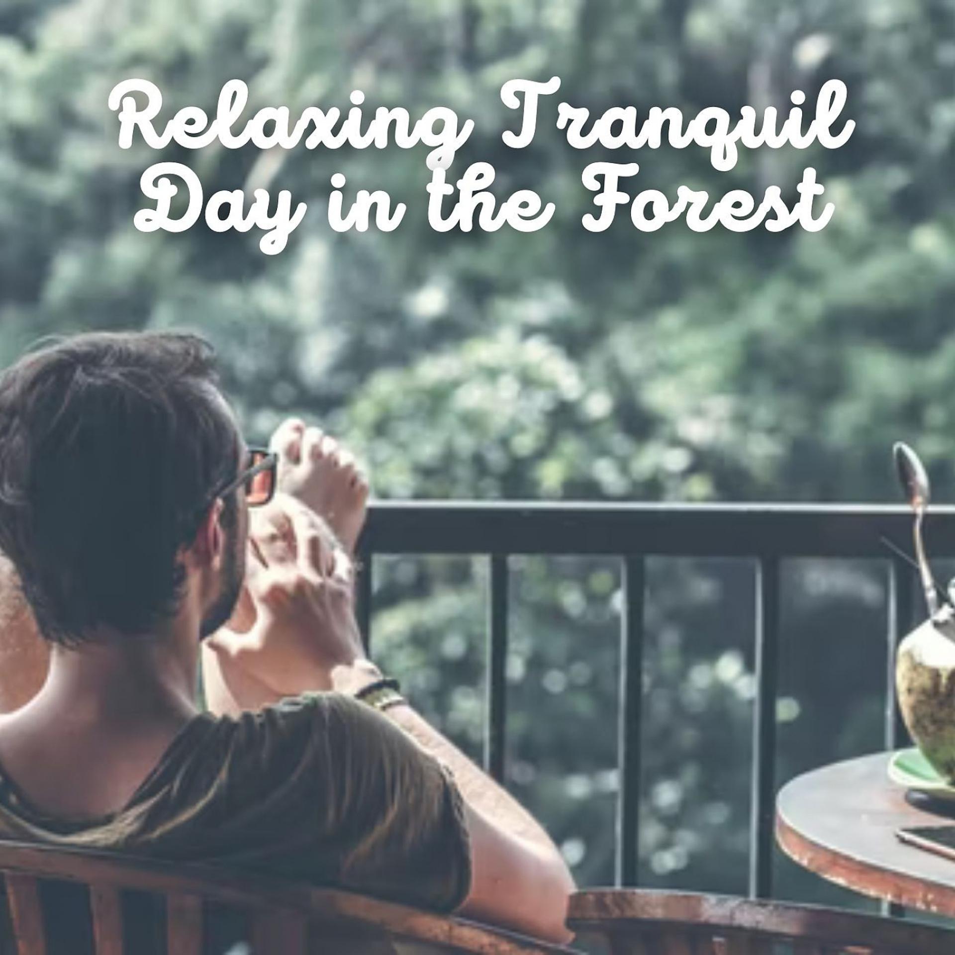 Постер альбома Relaxing Tranquil Day in the Forest