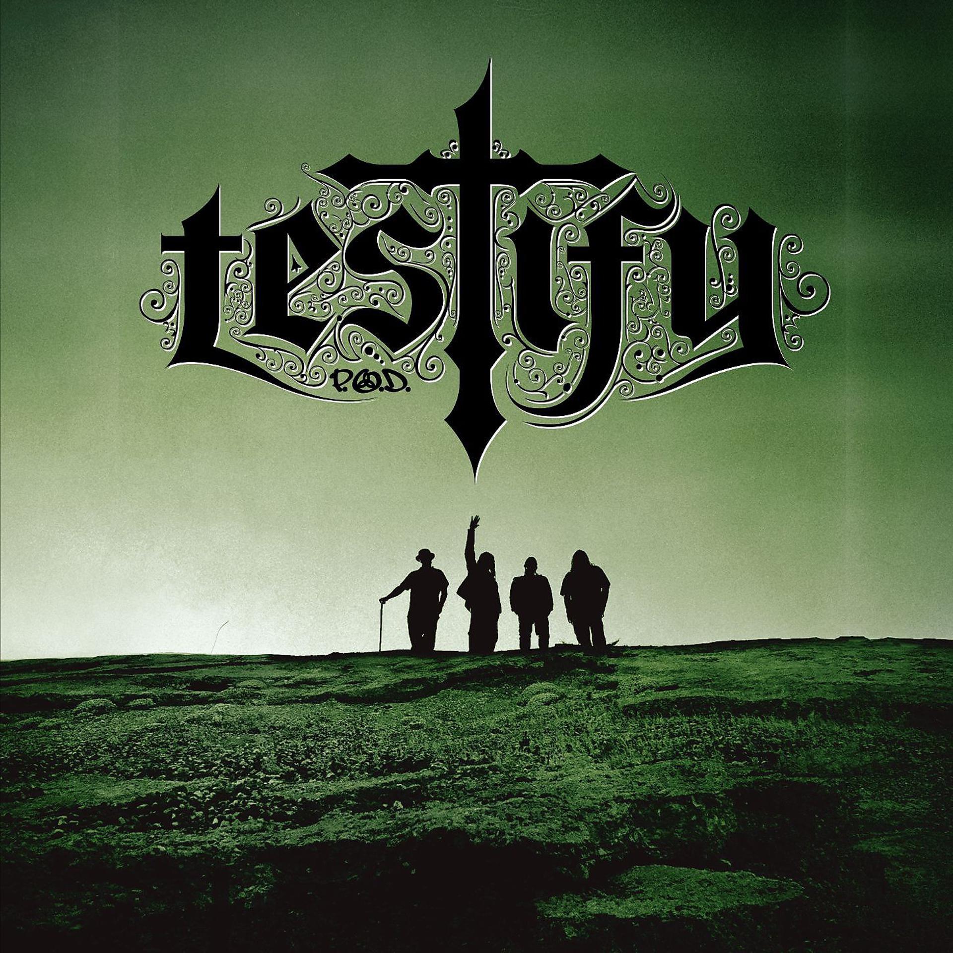 Постер альбома Testify