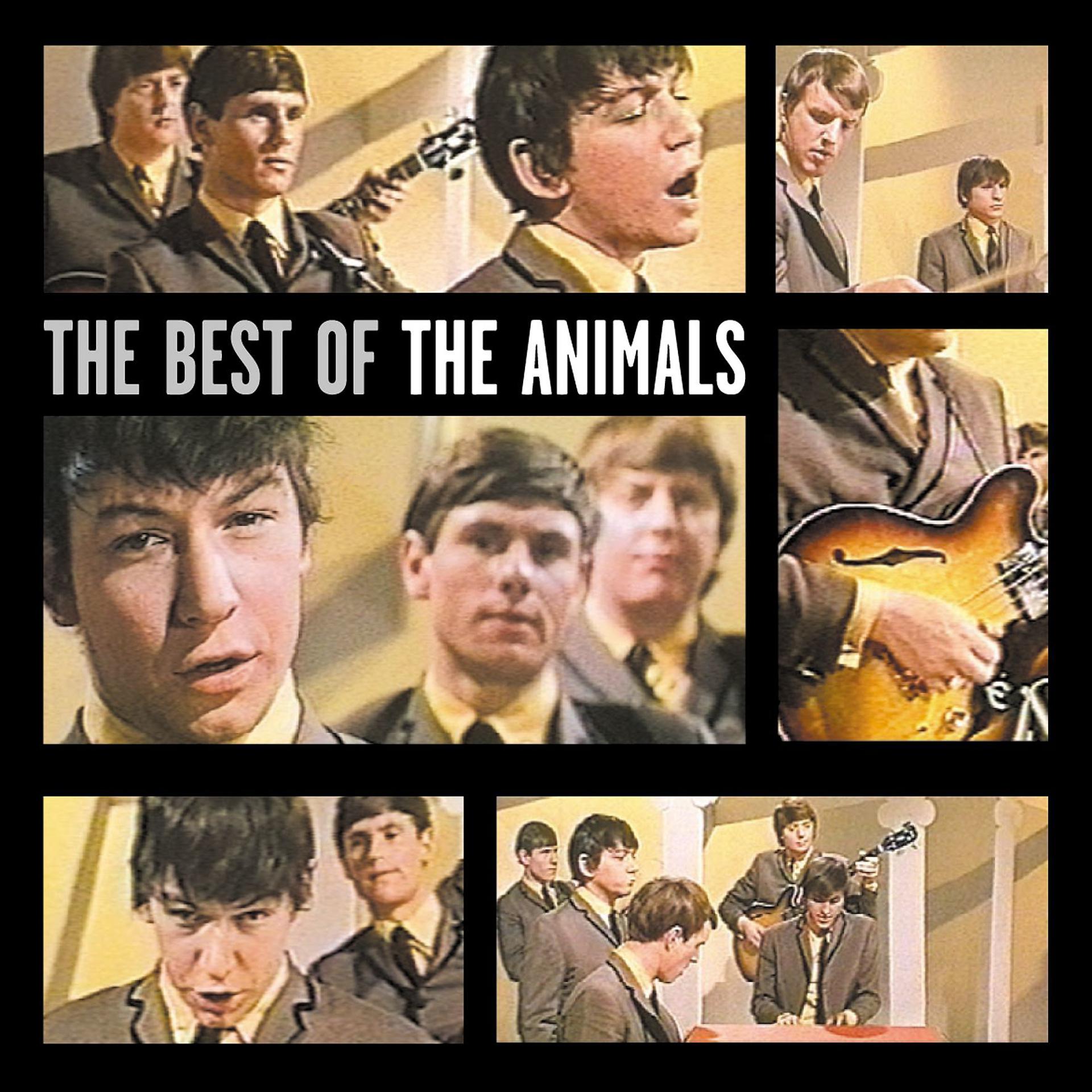 Постер альбома The Best of the Animals