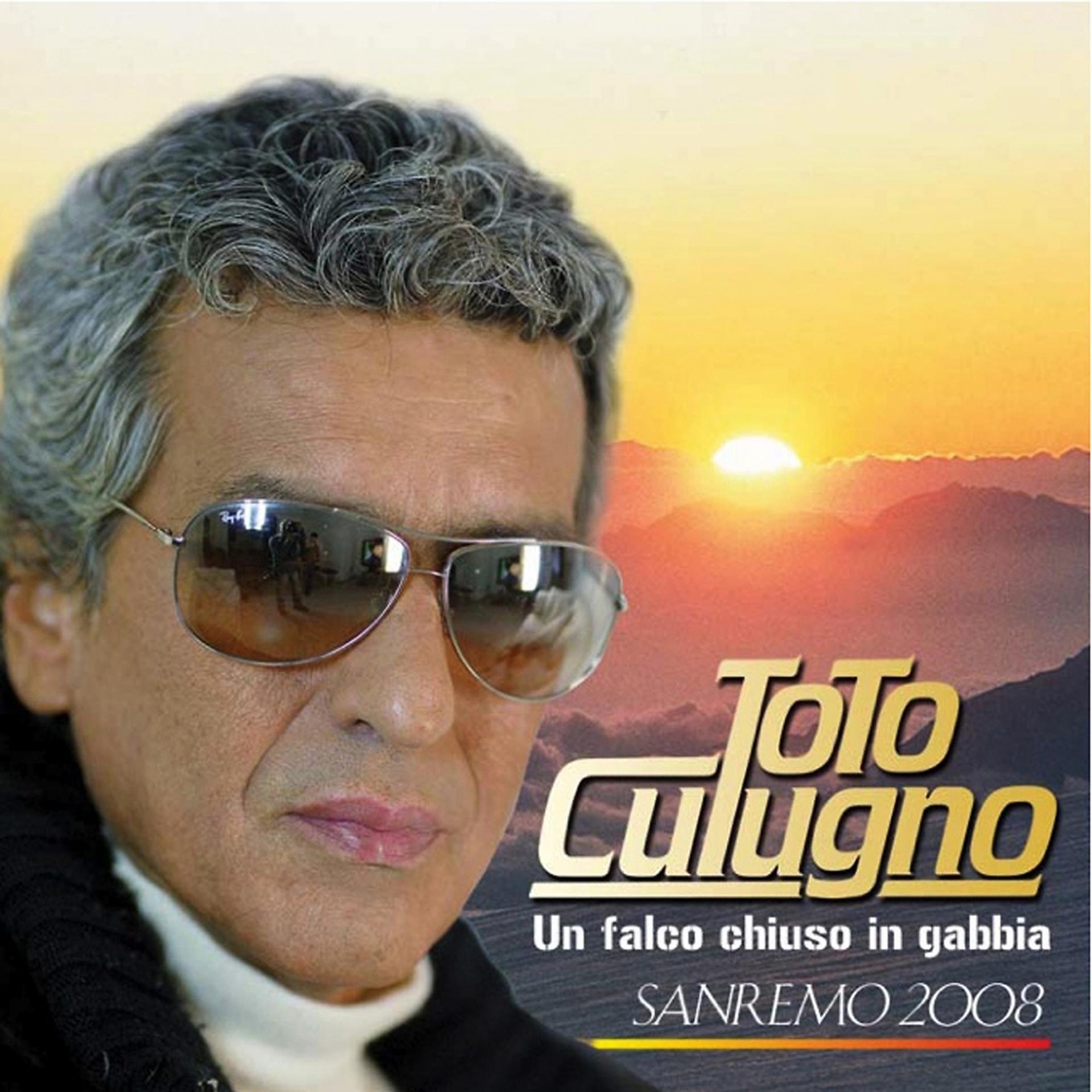 Постер альбома Un falco chiuso in gabbia (Sanremo 2008)