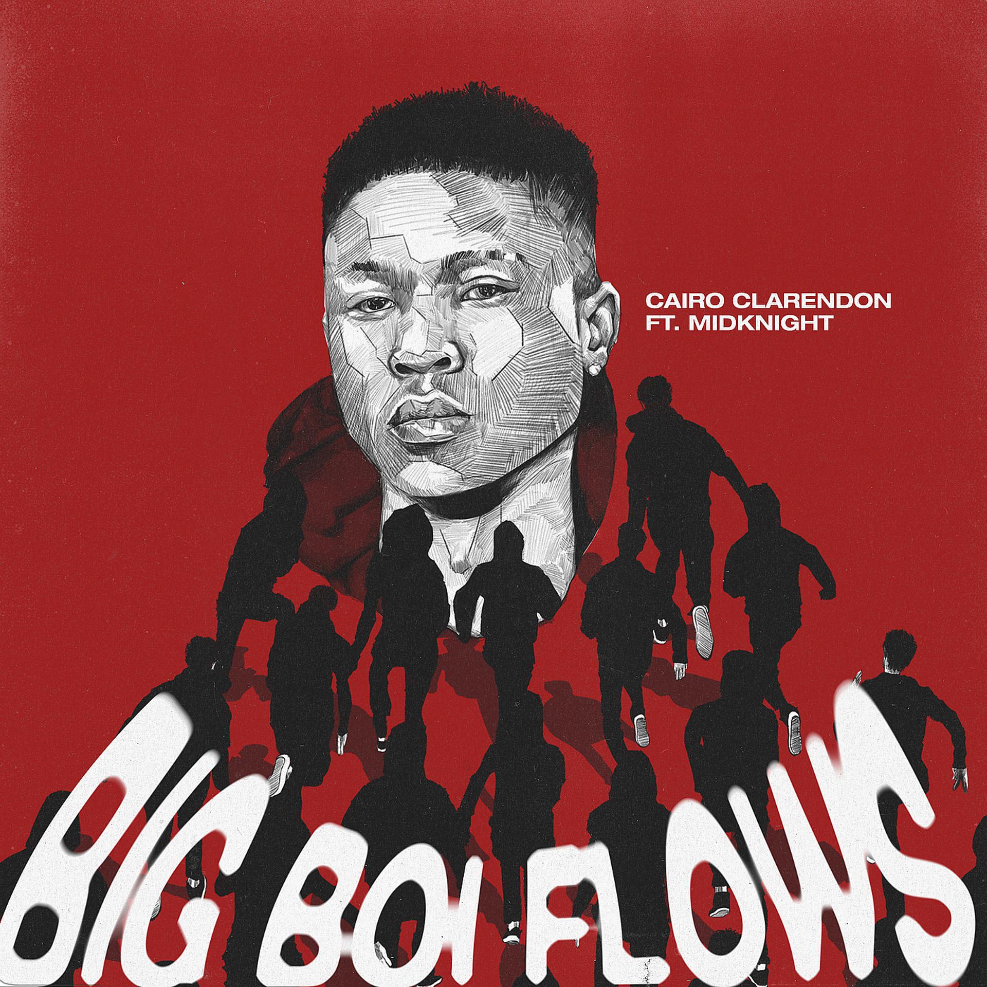 Постер альбома Big Boi Flows