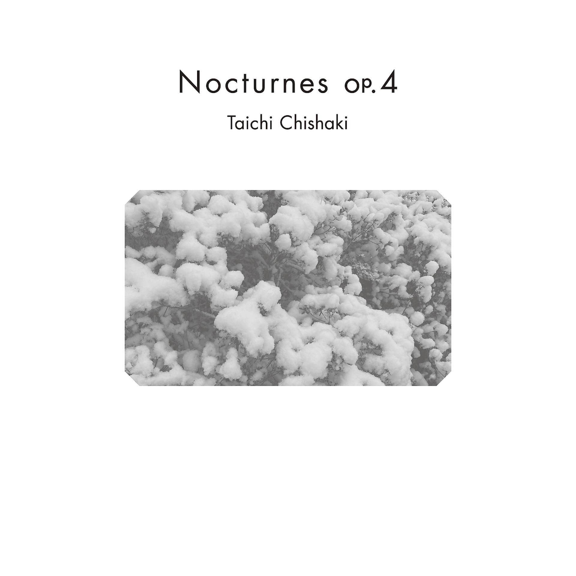 Постер альбома Nocturnes op.4
