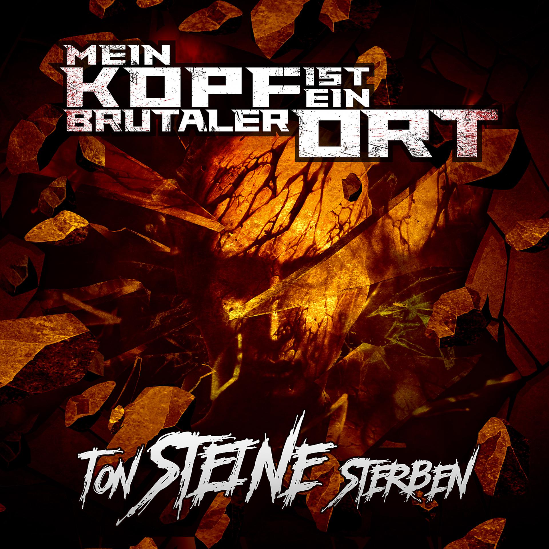 Постер альбома Ton Steine Sterben