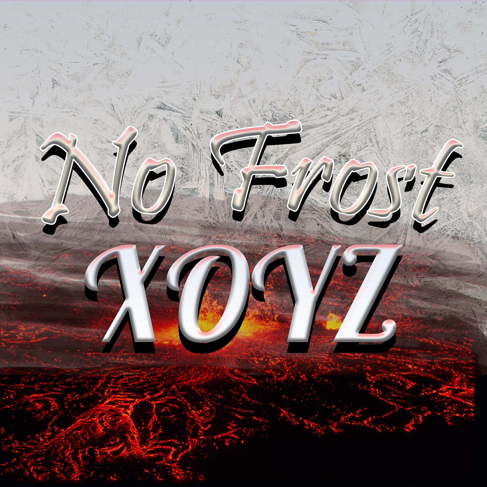 Постер альбома No Frost