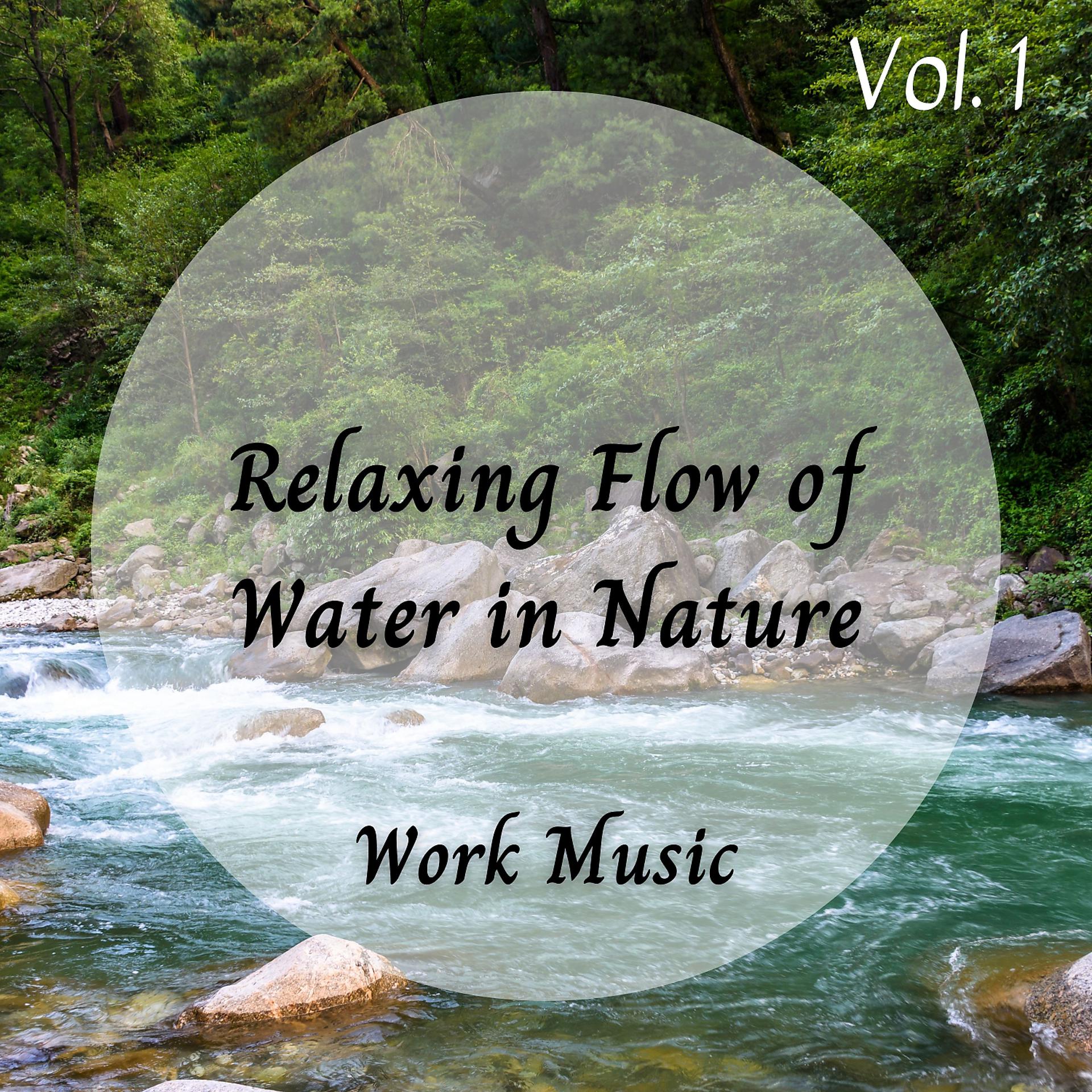 Постер альбома Work Music: Relaxing Flow of Water in Nature Vol. 1