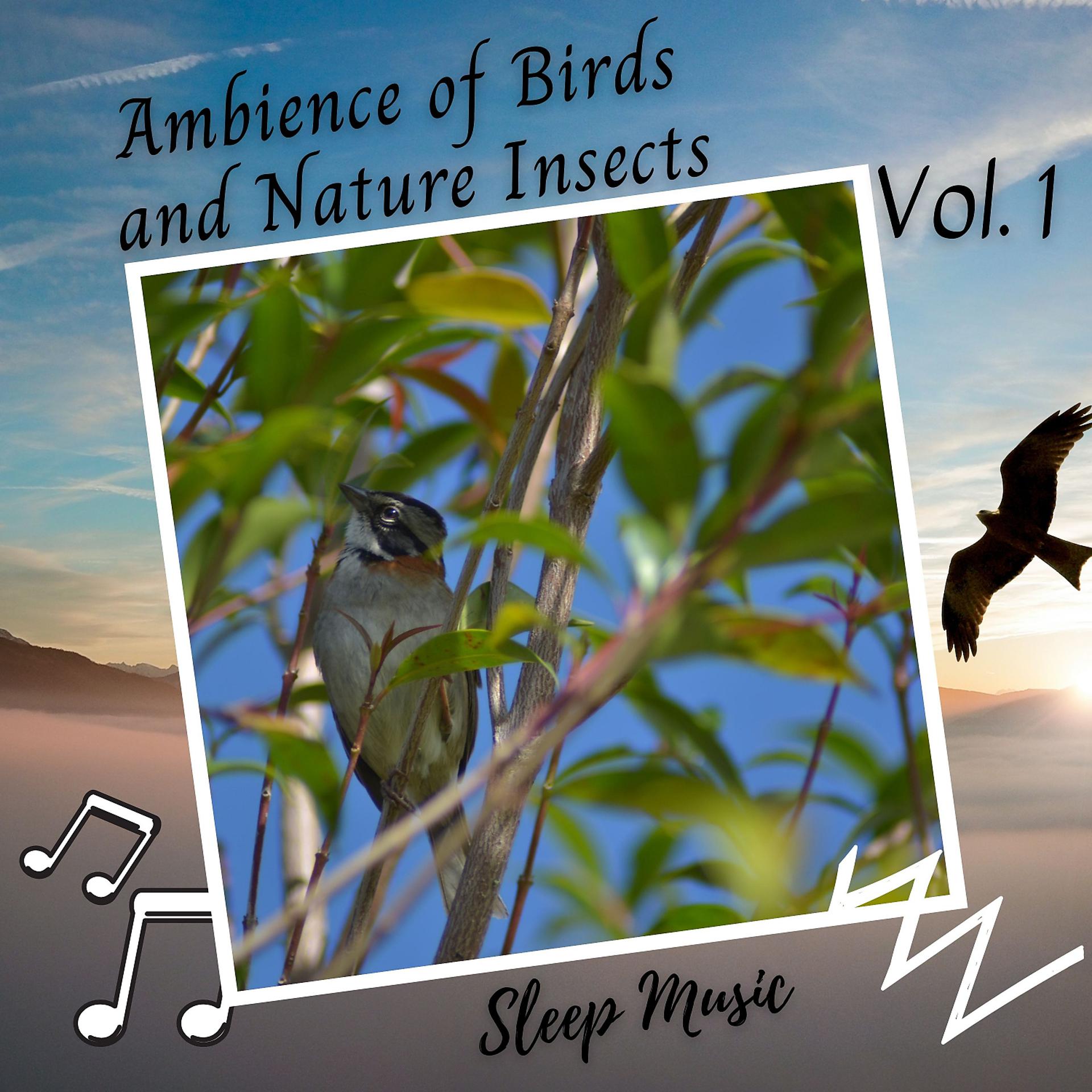 Постер альбома Sleep Music: Ambience of Birds and Nature Insects Vol. 1