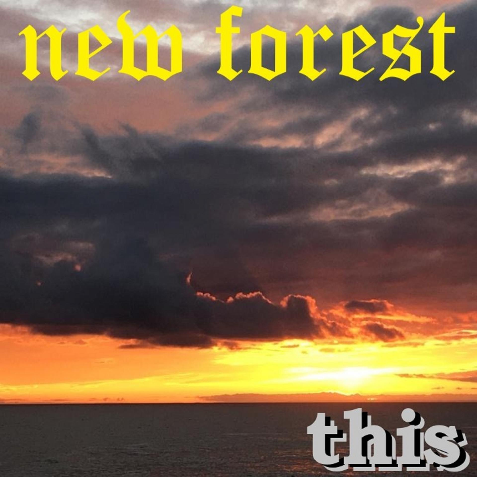 Постер альбома New Forest