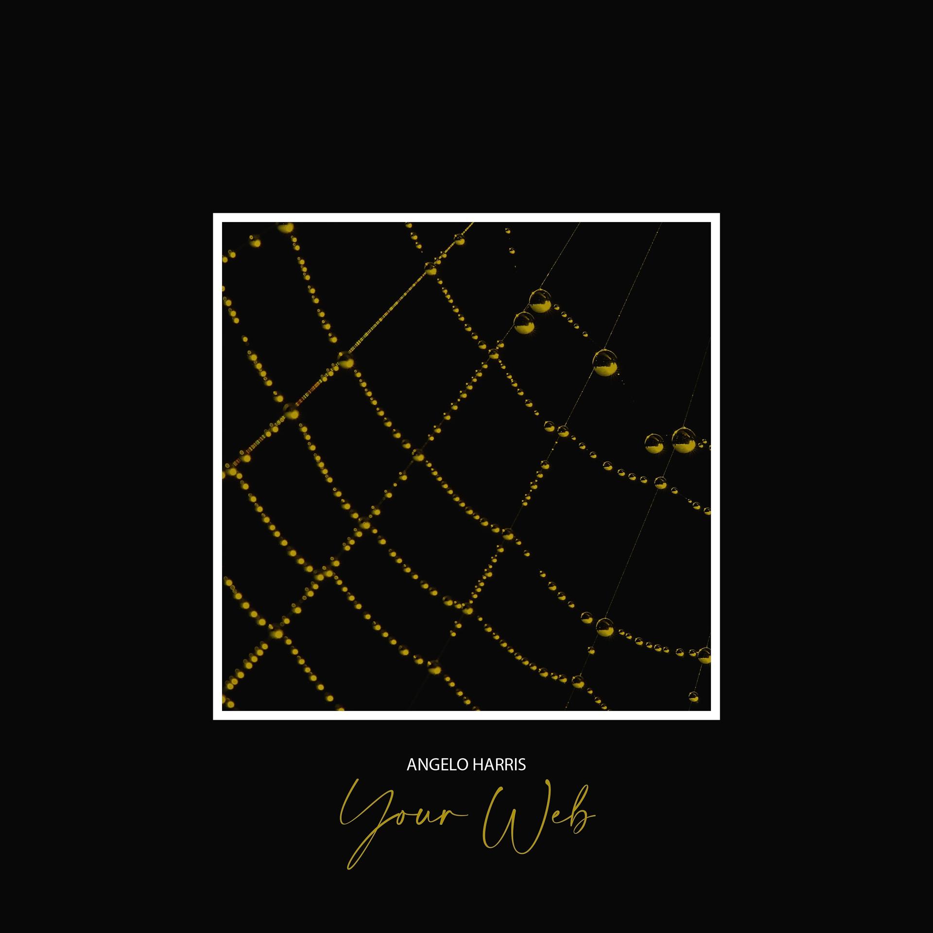 Постер альбома Your Web
