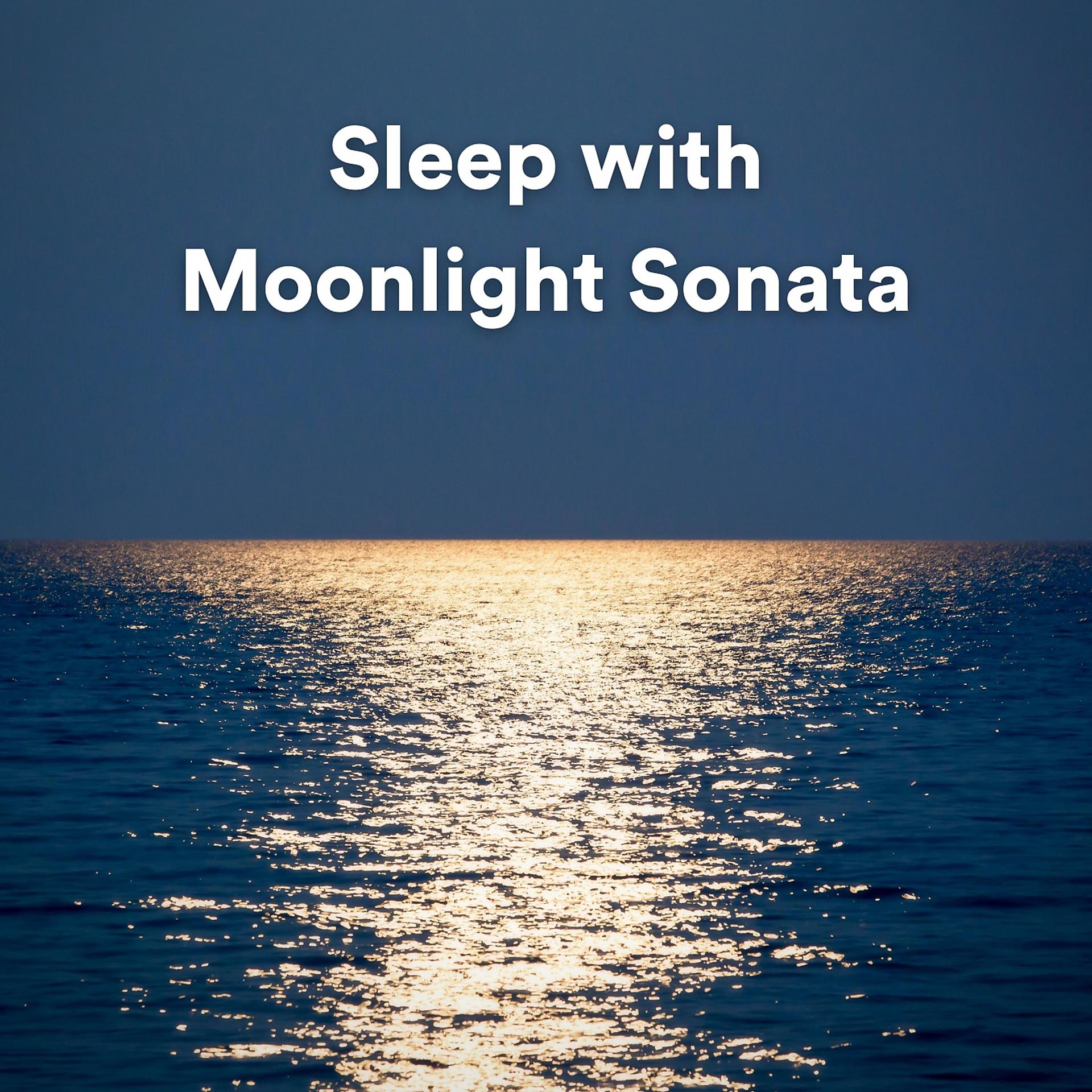 Постер альбома Sleep with Moonlight Sonata