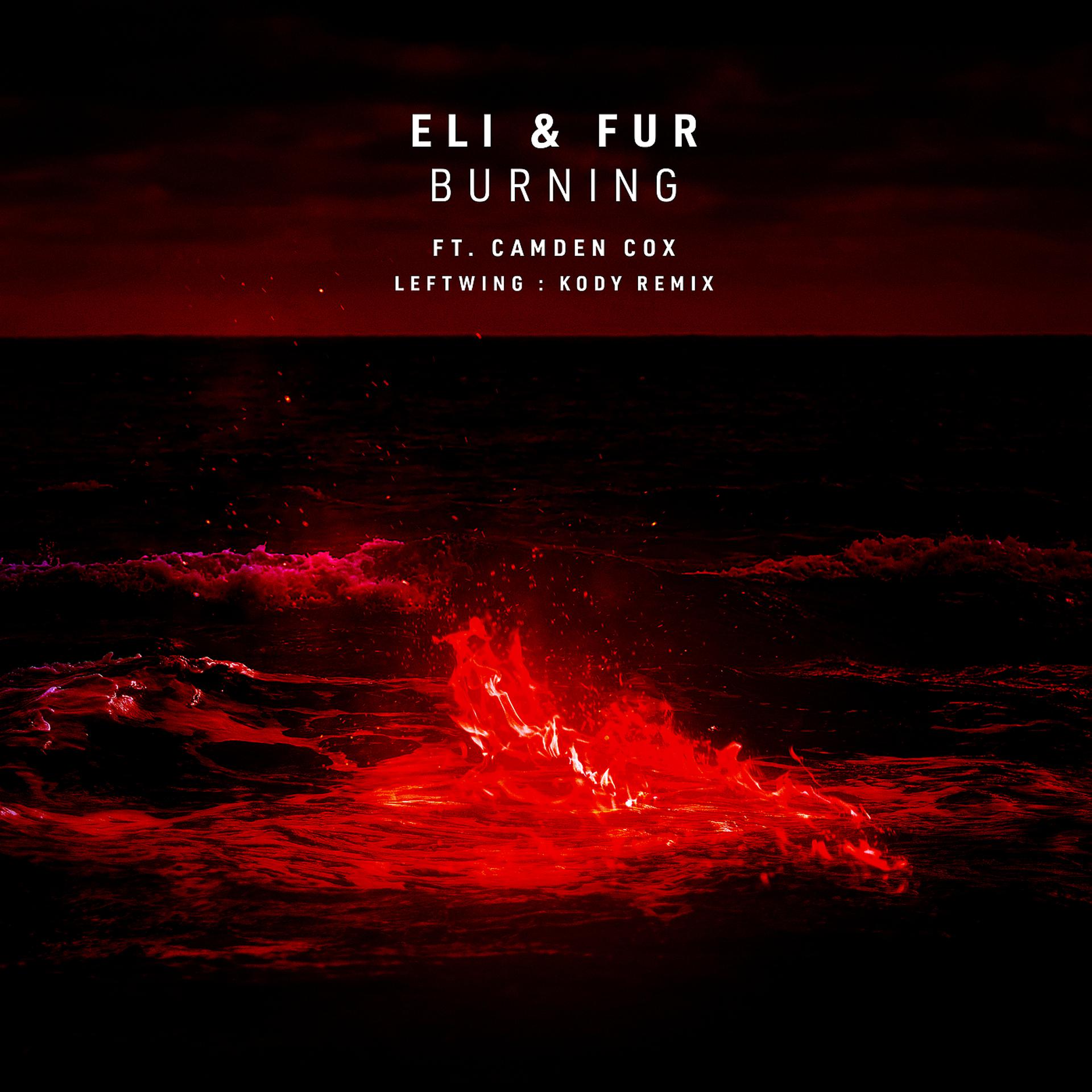 Постер к треку Eli and Fur, Camden Cox - Burning (Leftwing : Kody Remix)