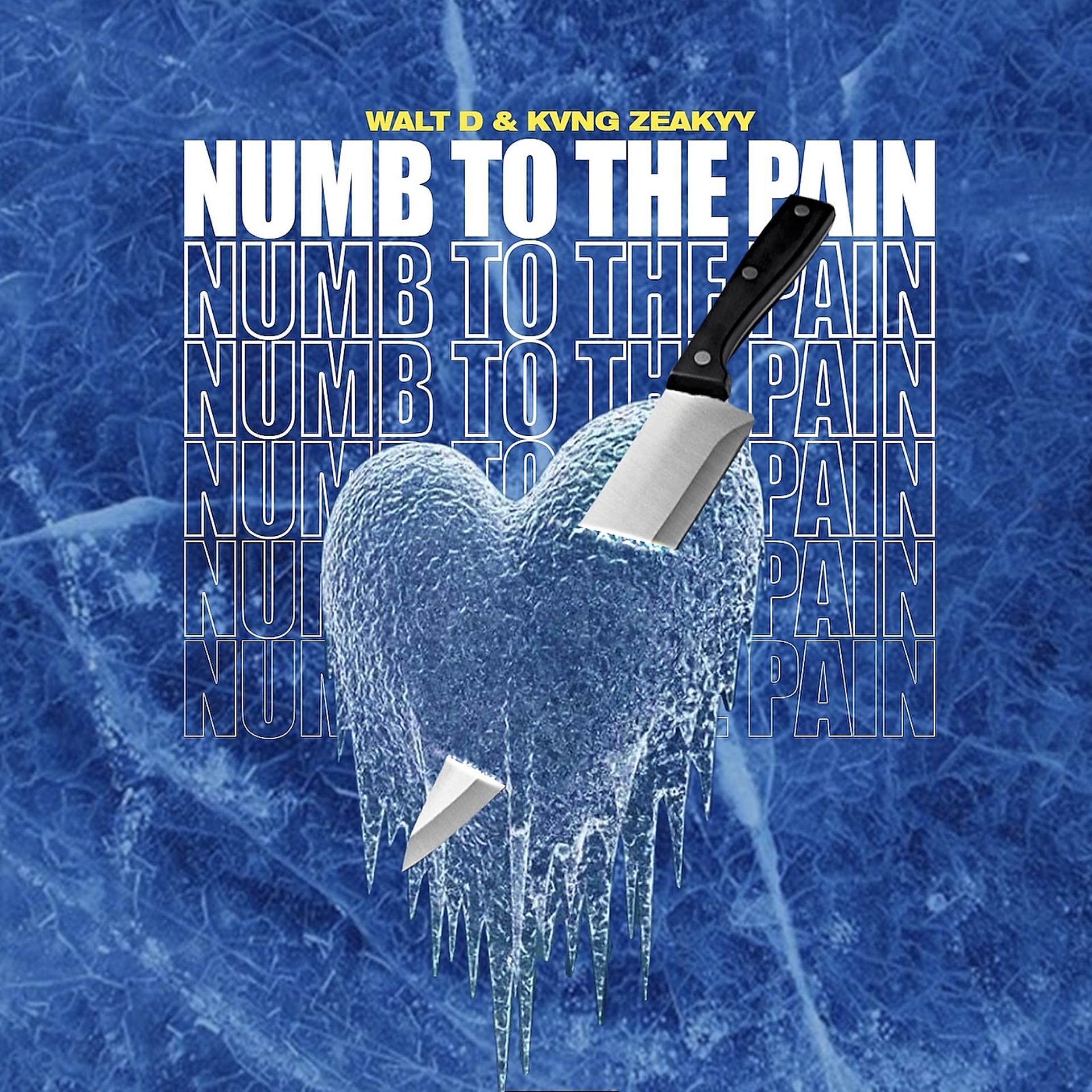 Постер альбома Numb to the Pain