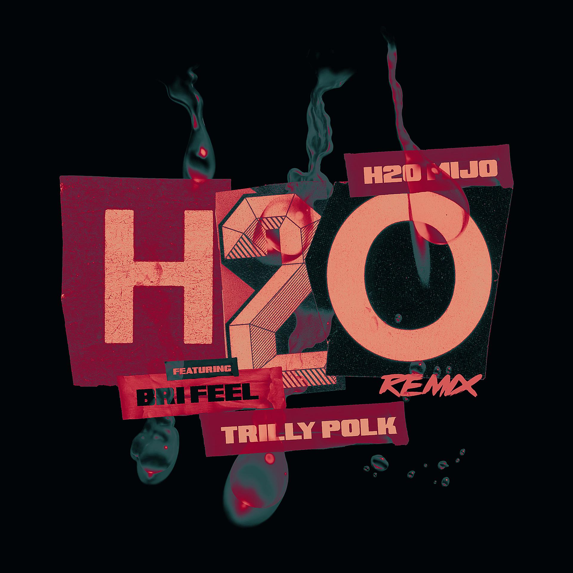 Постер альбома H2o(Remix)