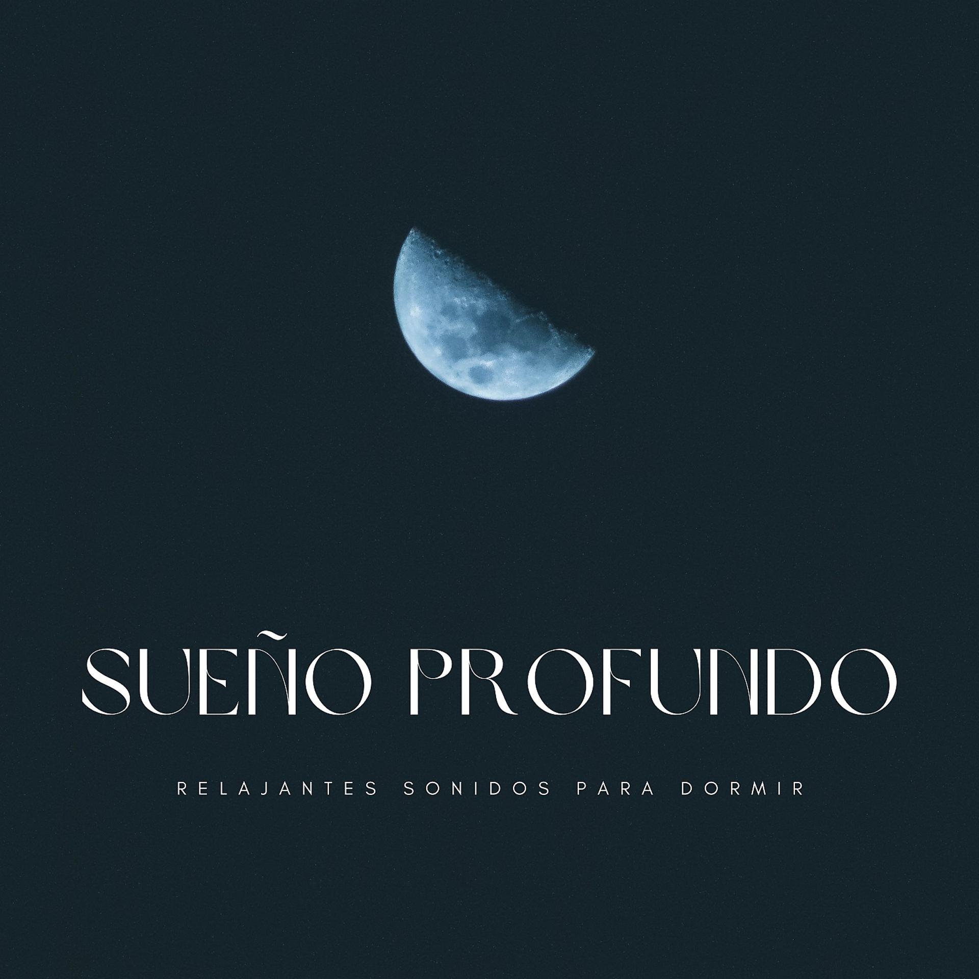 Постер альбома Sueño Profundo: Relajantes Sonidos Para Dormir