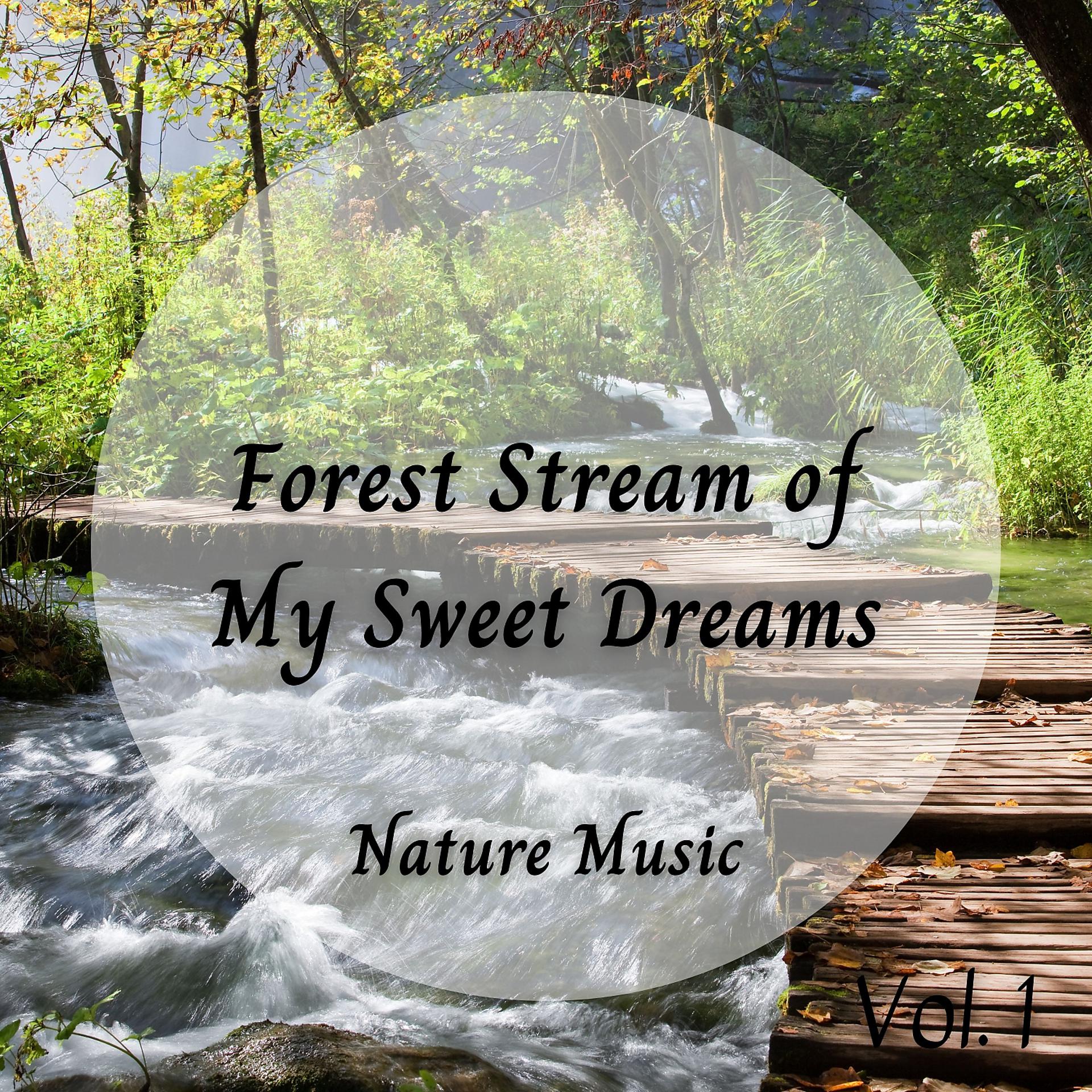 Постер альбома Nature Music: Forest Stream of My Sweet Dreams Vol. 1