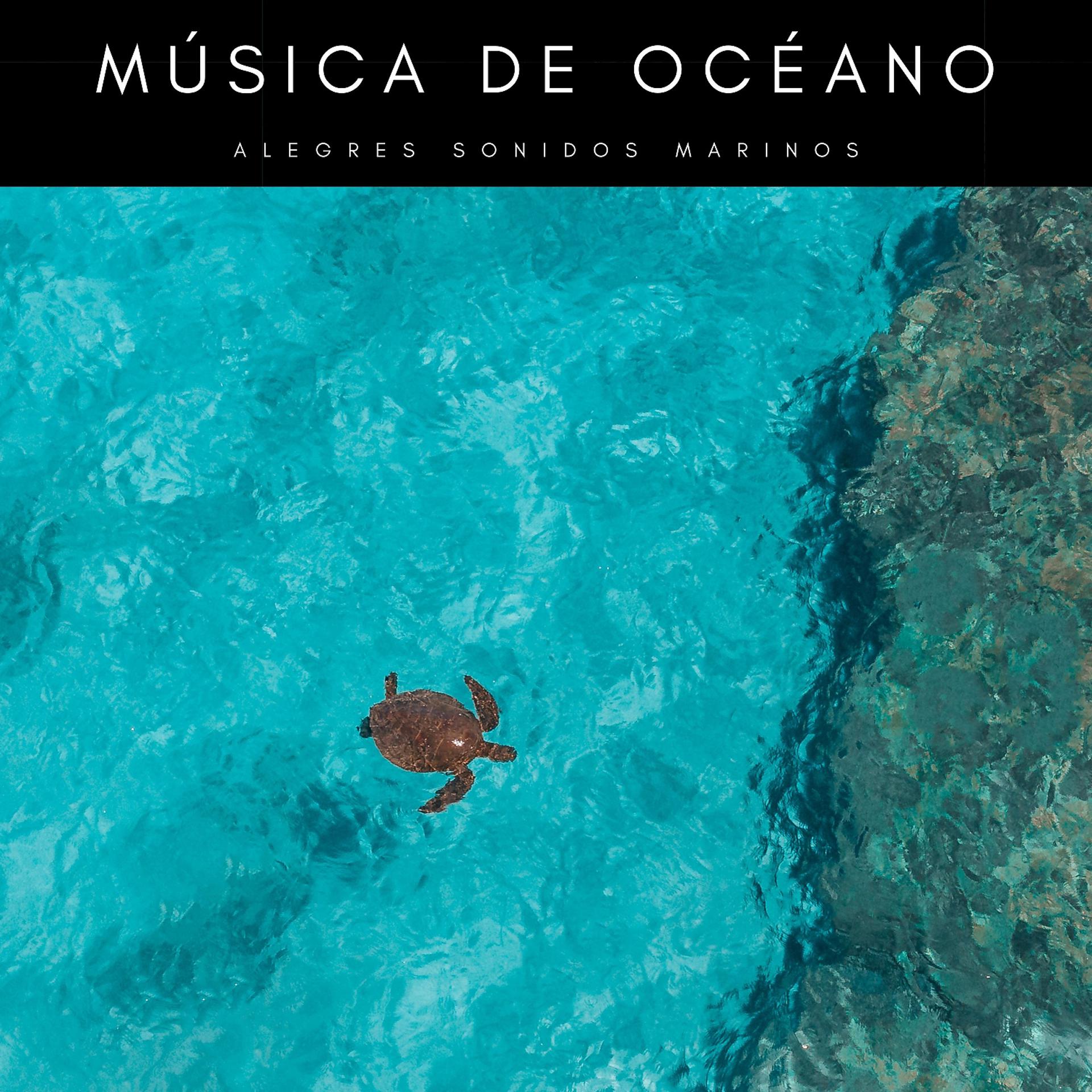 Постер альбома Música De Océano: Alegres Sonidos Marinos