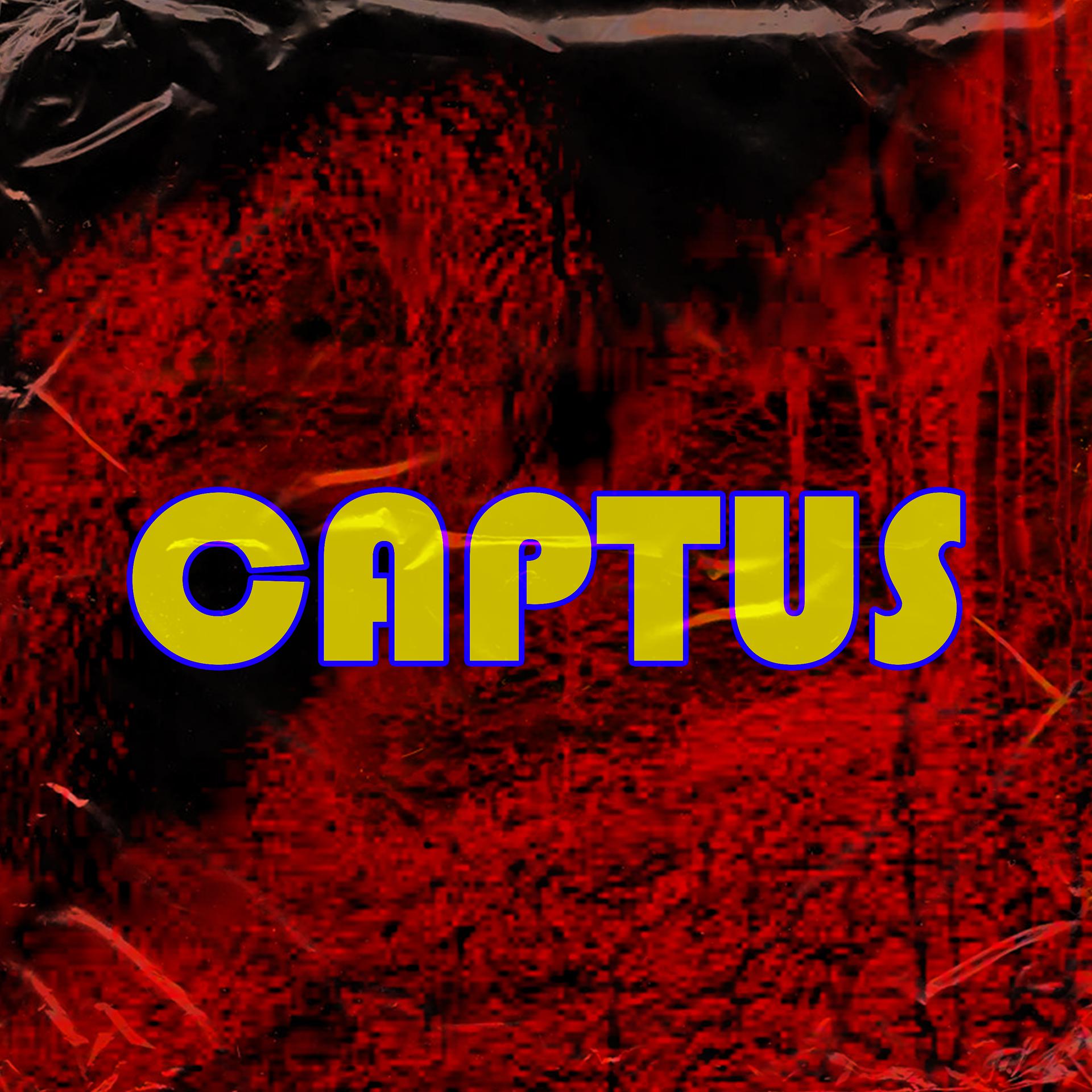 Постер альбома Captus