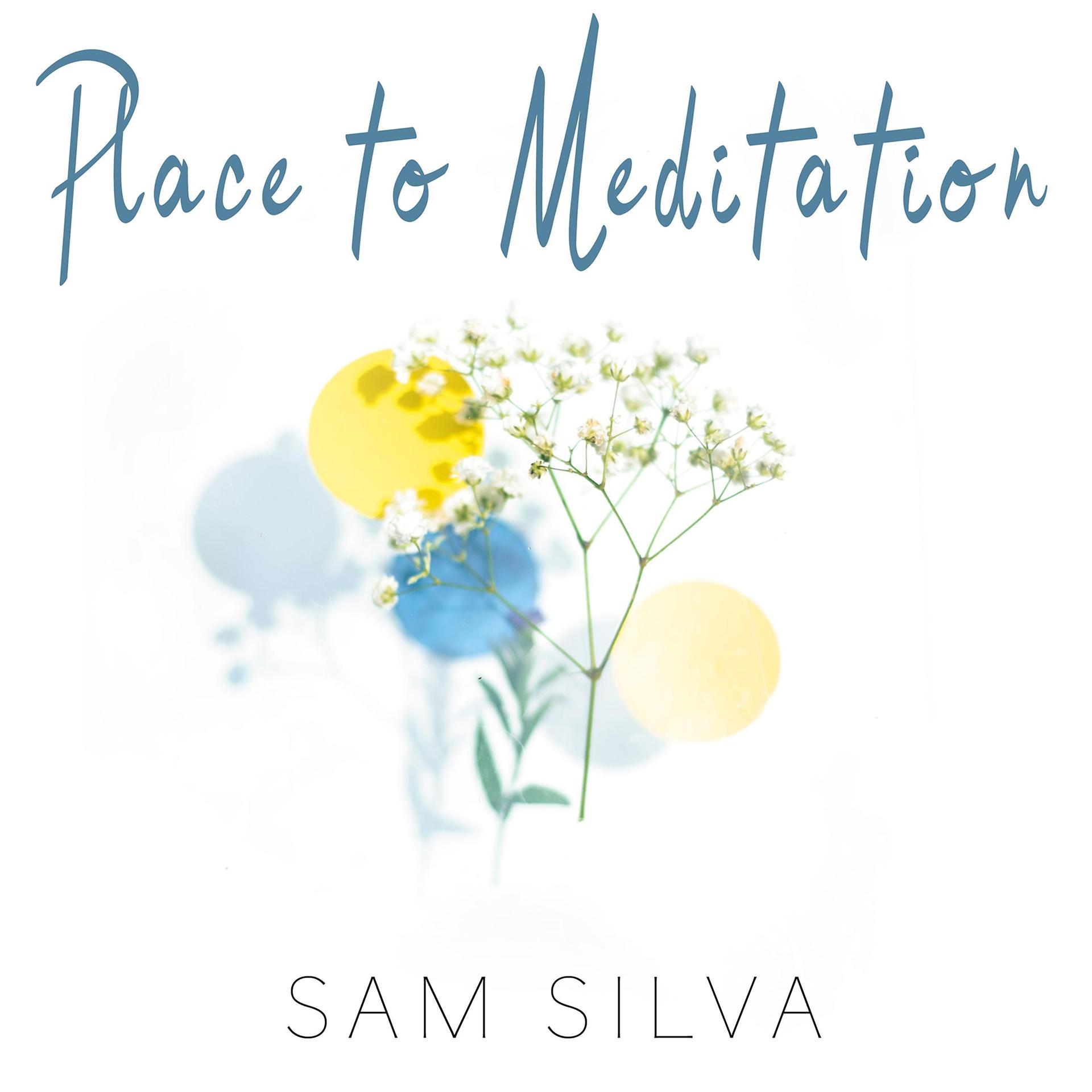 Постер альбома Place to Meditation