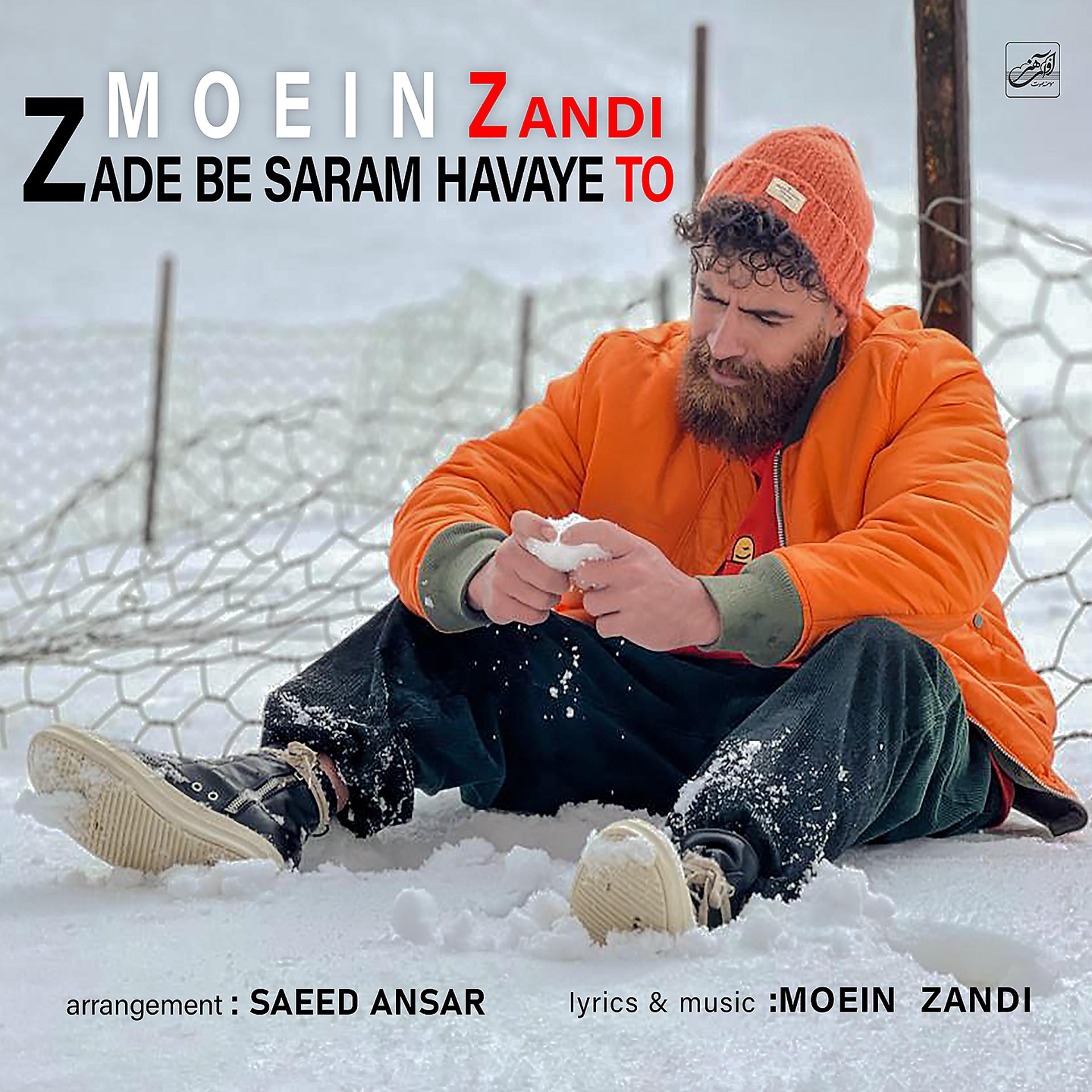 Постер альбома Zade Be Saram Havaye To