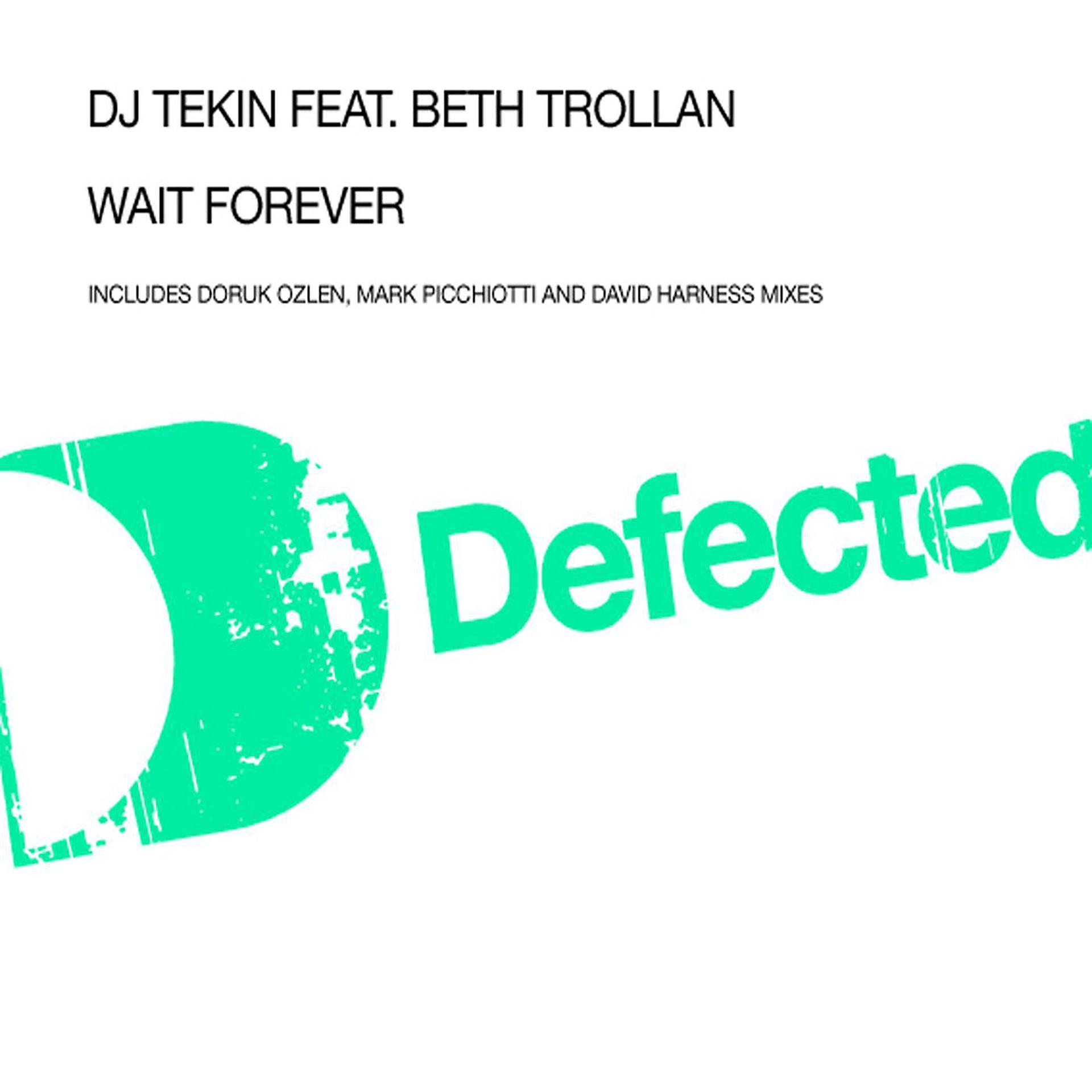Постер альбома Wait Forever (feat. Beth Trollan)