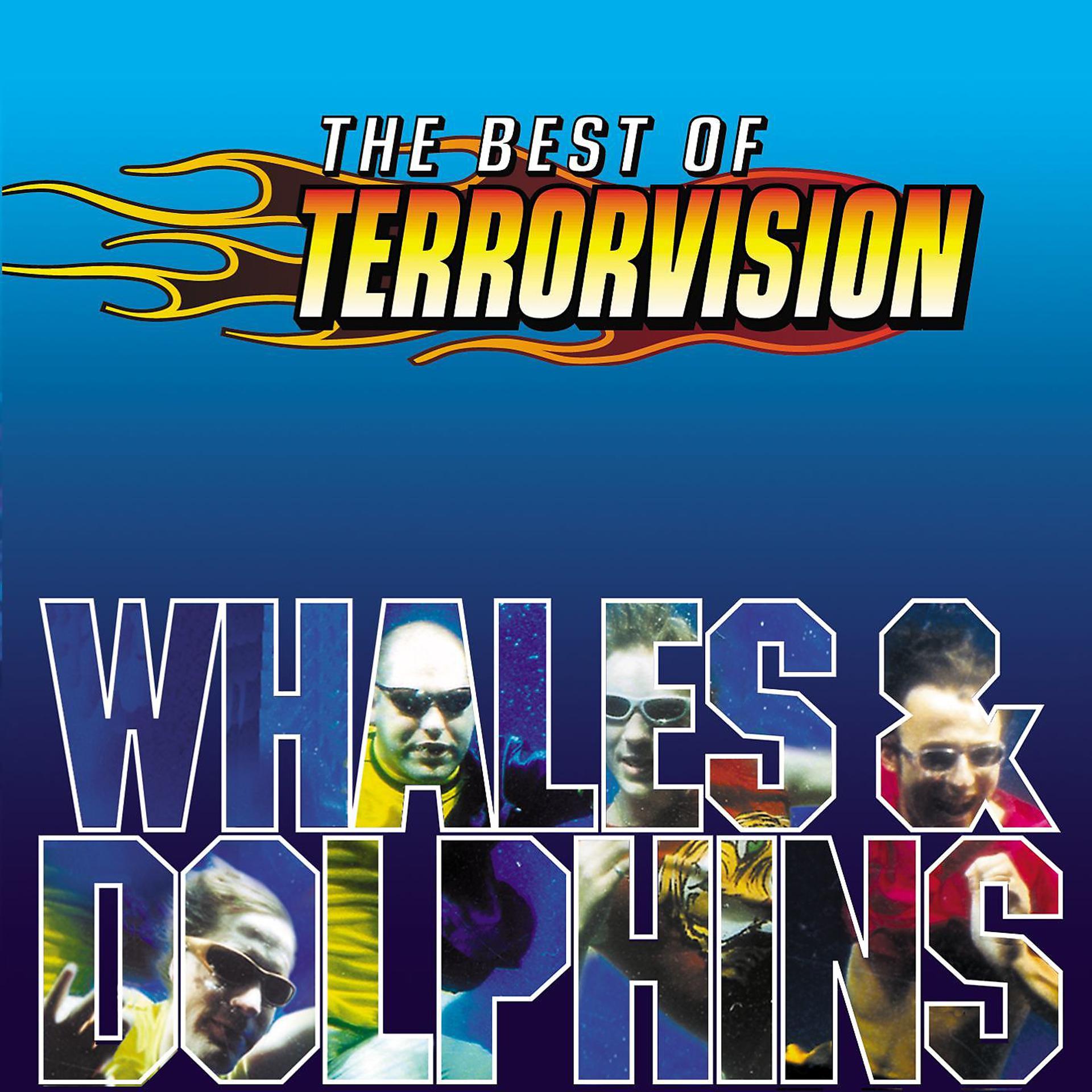 Постер альбома Whales And Dolphins - The Best Of