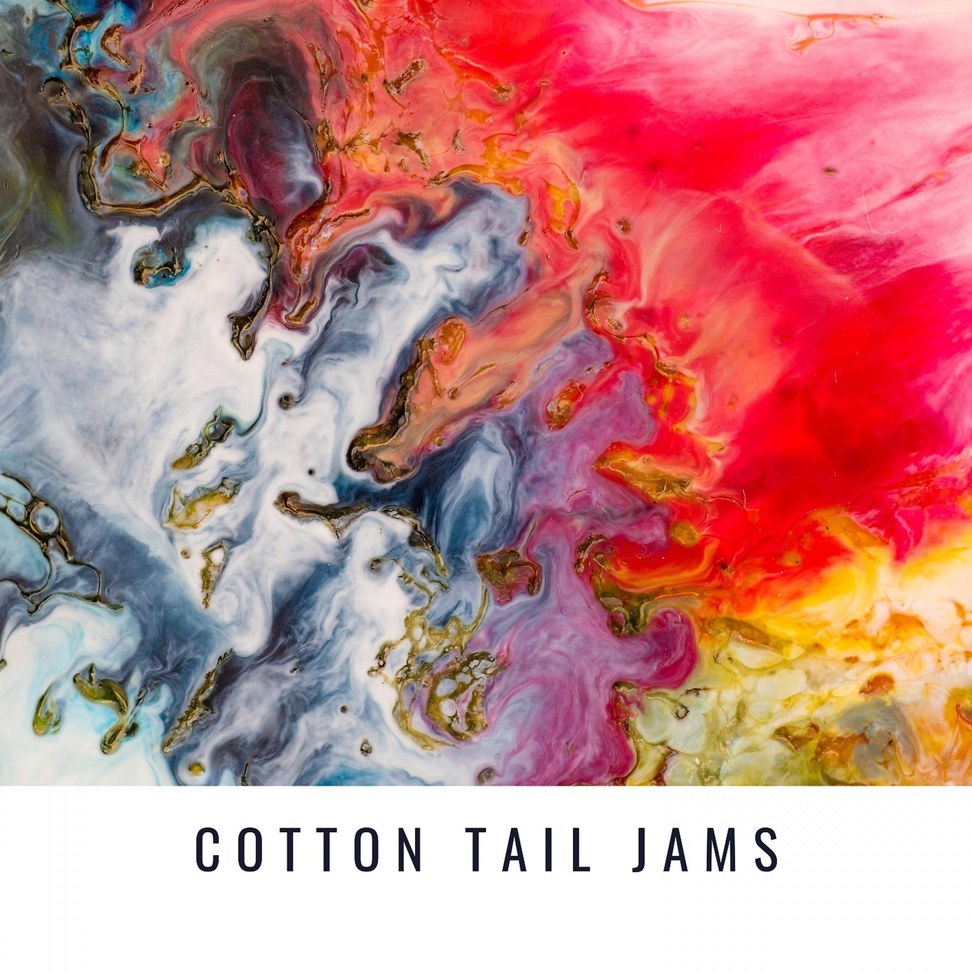 Постер альбома Cotton Tail Jams