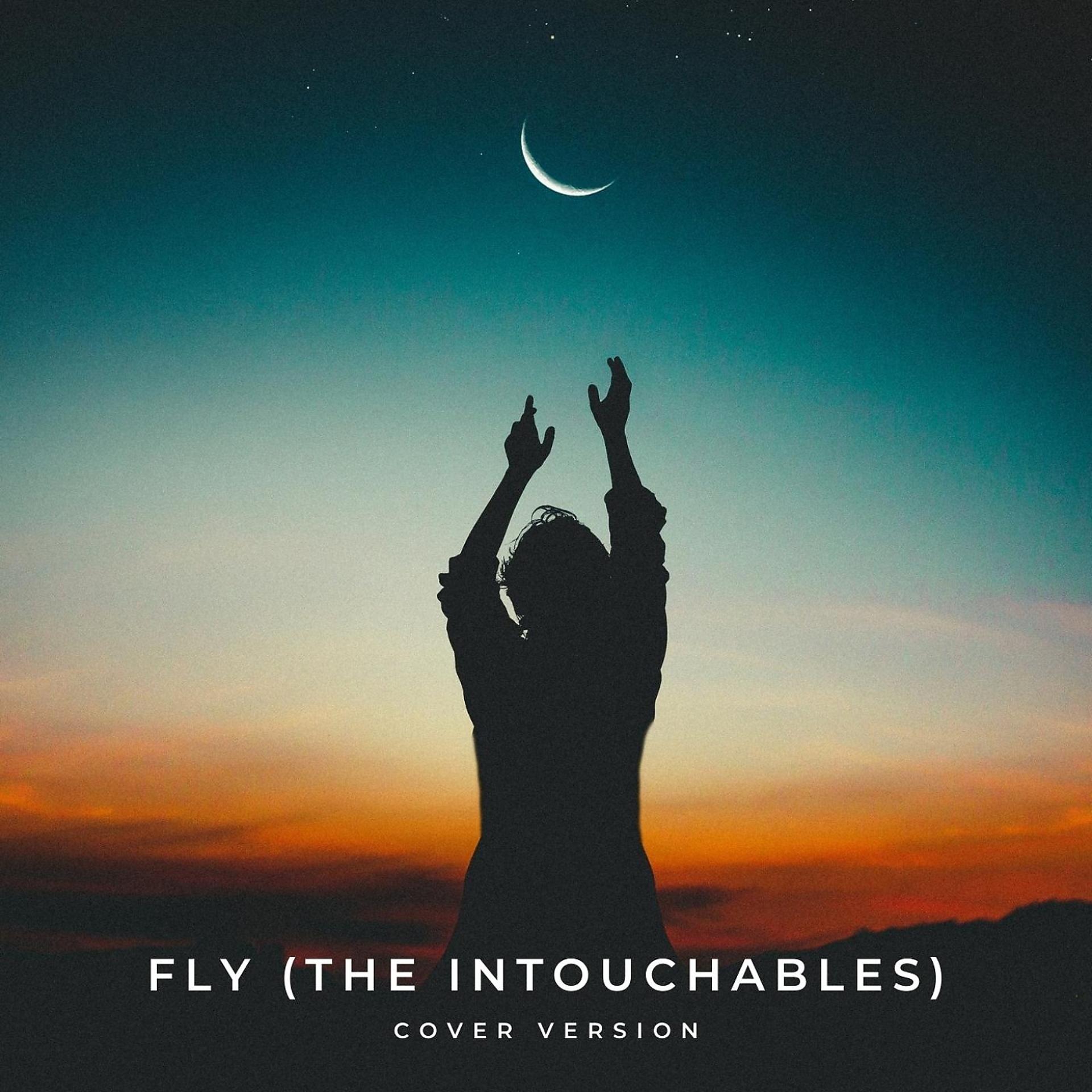 Постер альбома Fly (The Intouchables)