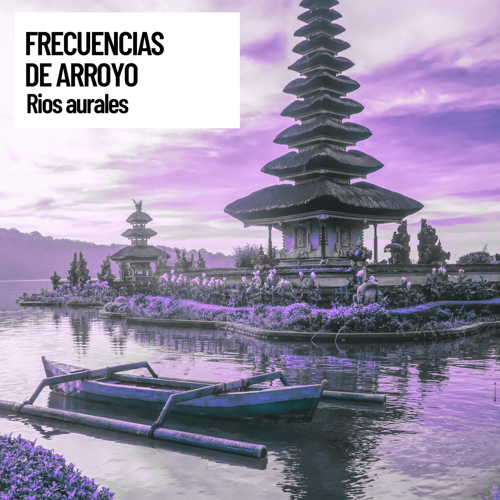 Постер альбома Sound Spatial Audio: Frecuencias de Arroyo: Rios aurales